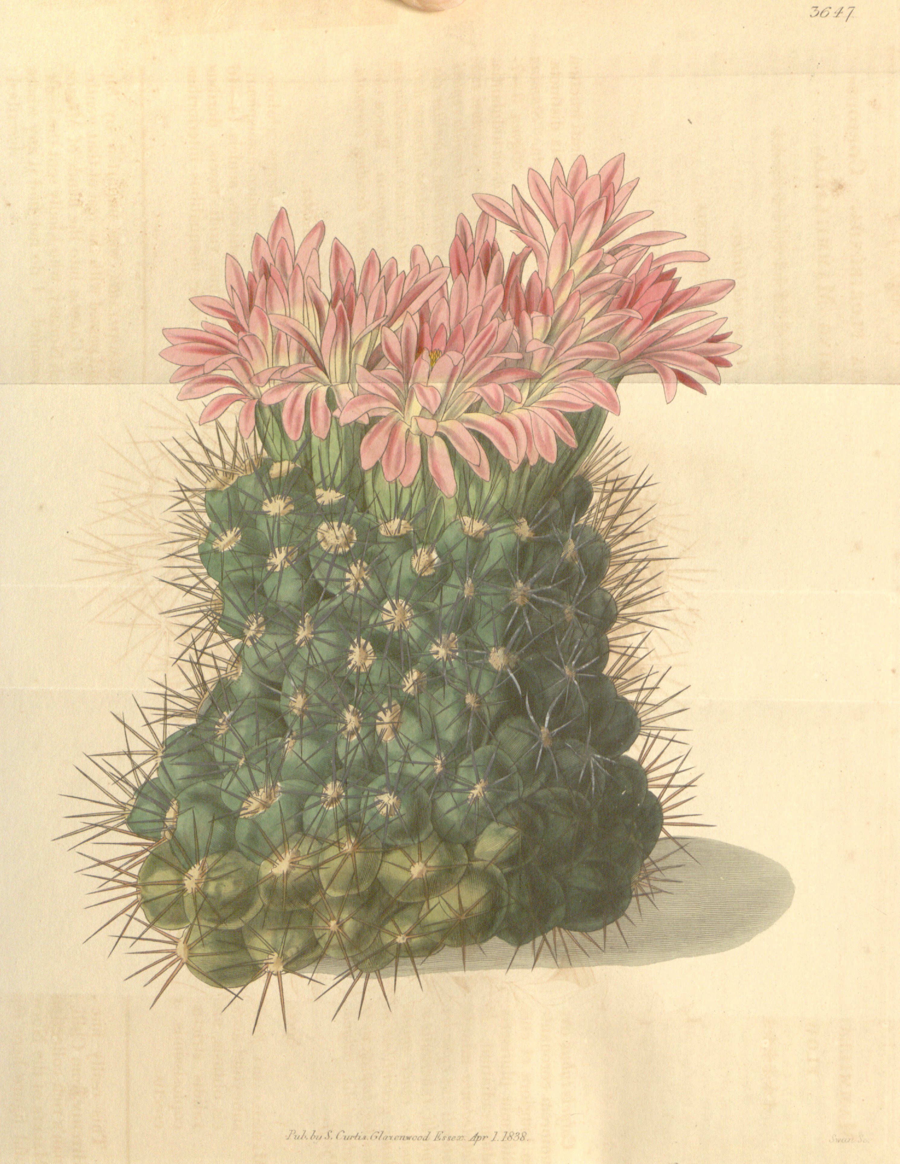 no full size  illustration available (3a)