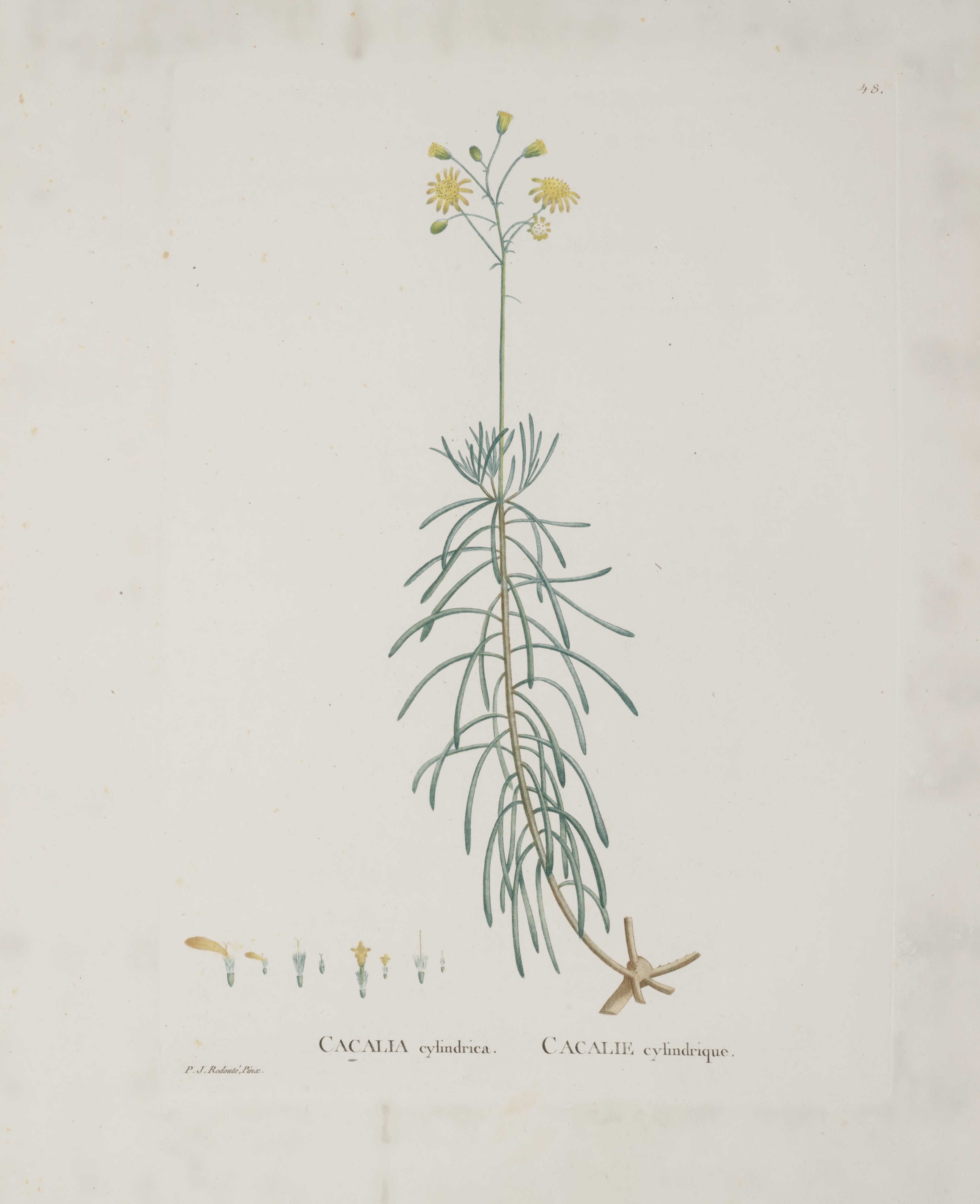 no full size  illustration available (3a)