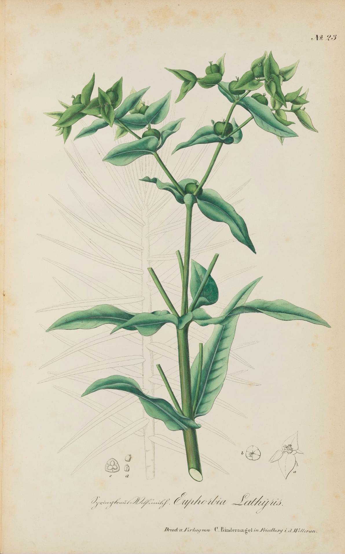 no full size  illustration available (3a)