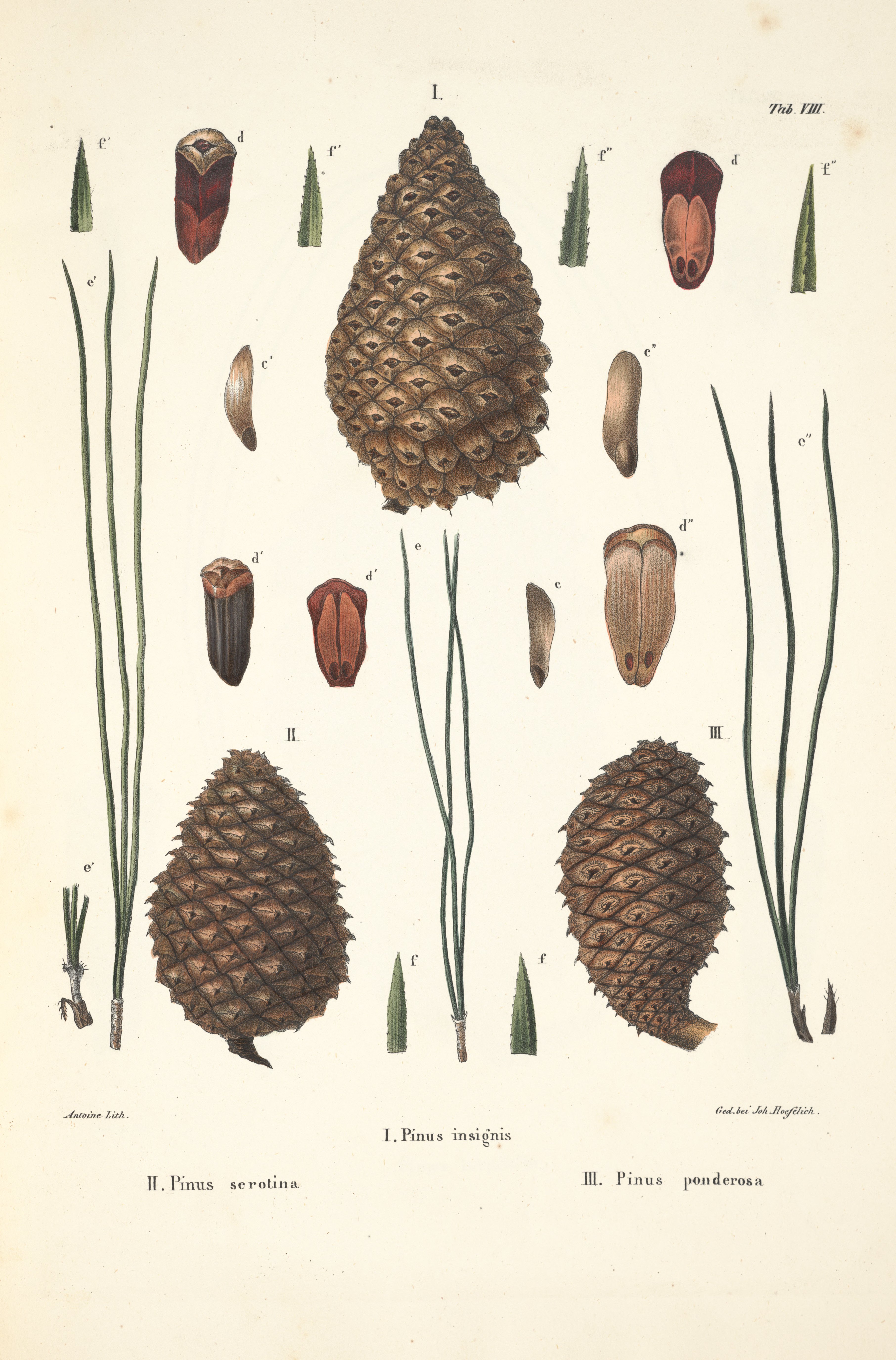 no full size  illustration available (3a)