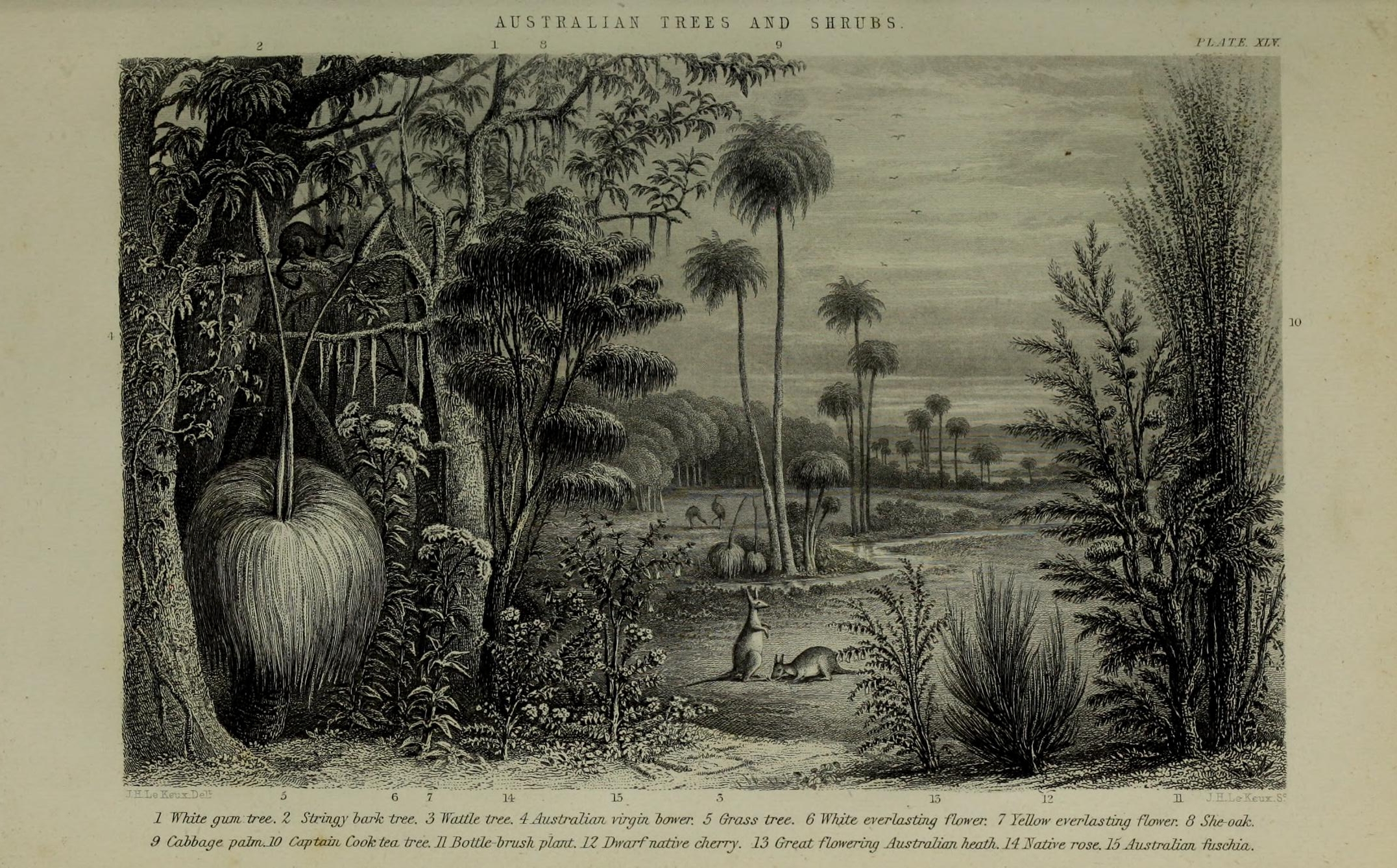 no full size  illustration available (3a)