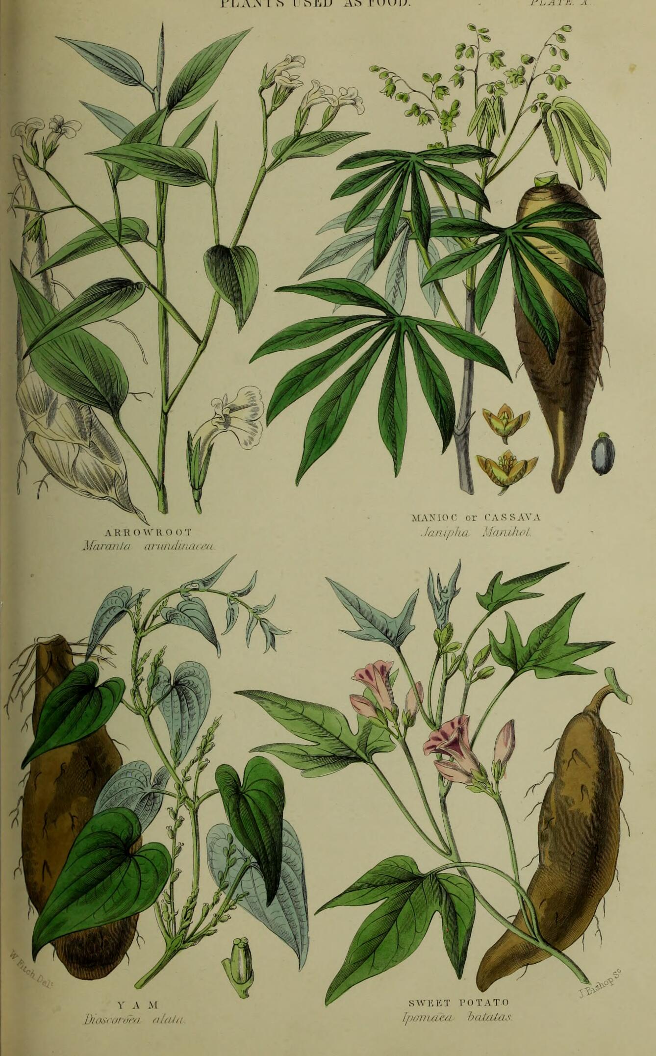 no full size  illustration available (3a)