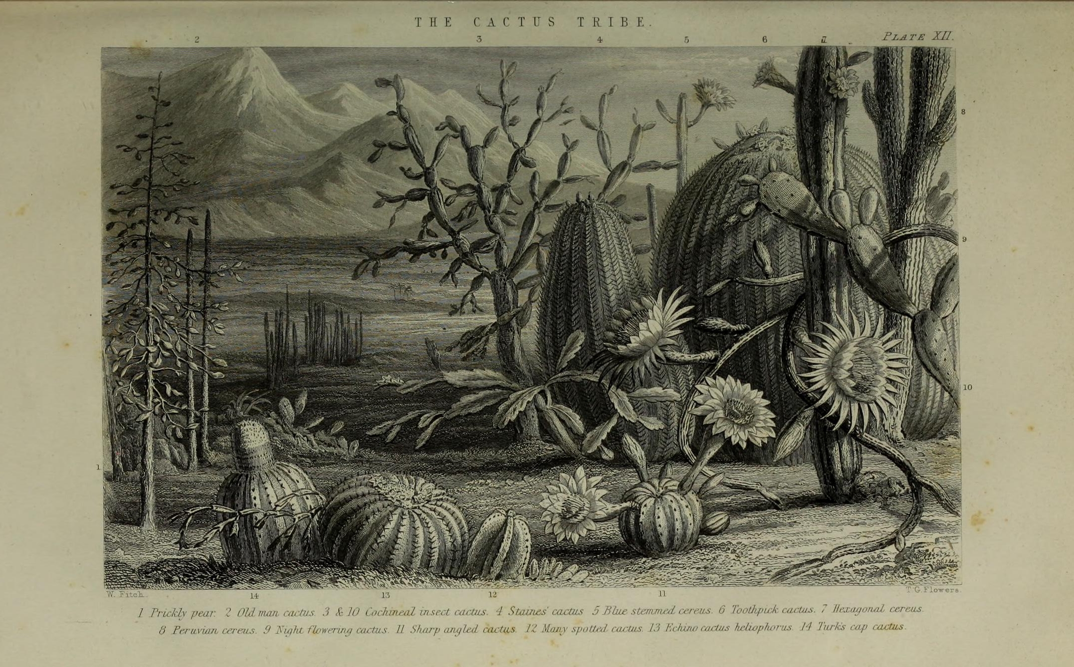 no full size  illustration available (3a)