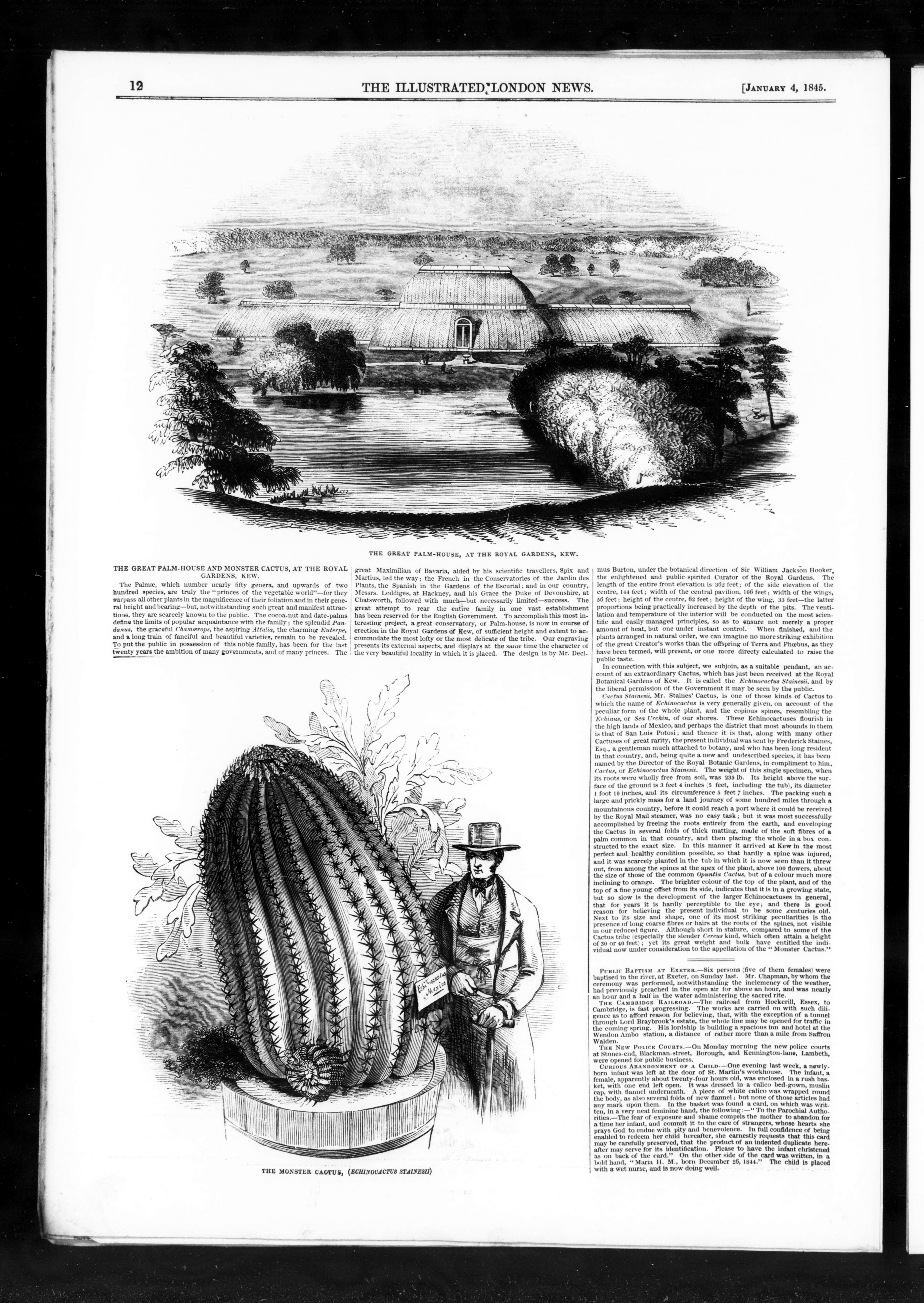 no full size  illustration available (3a)