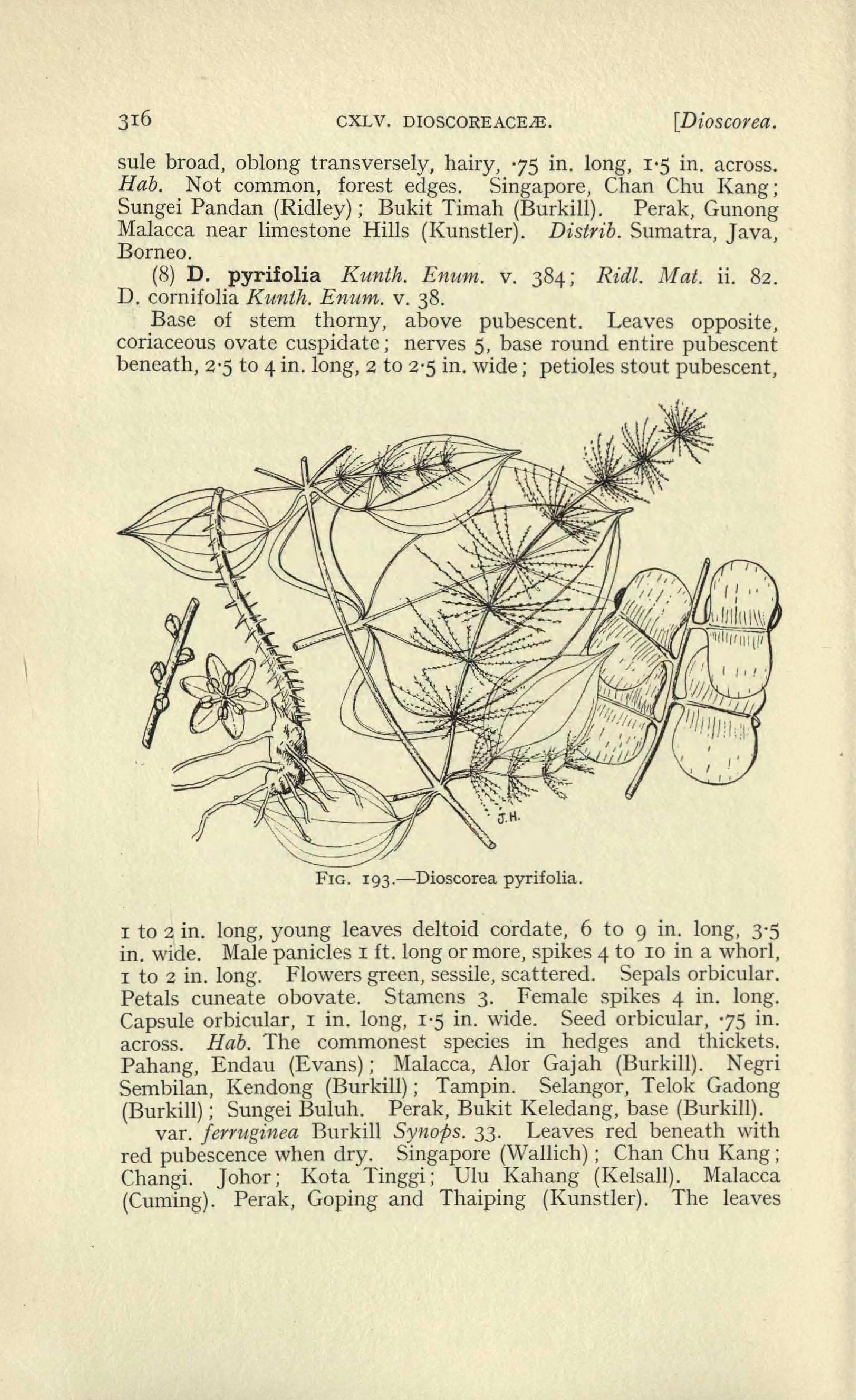 no full size  illustration available (3a)