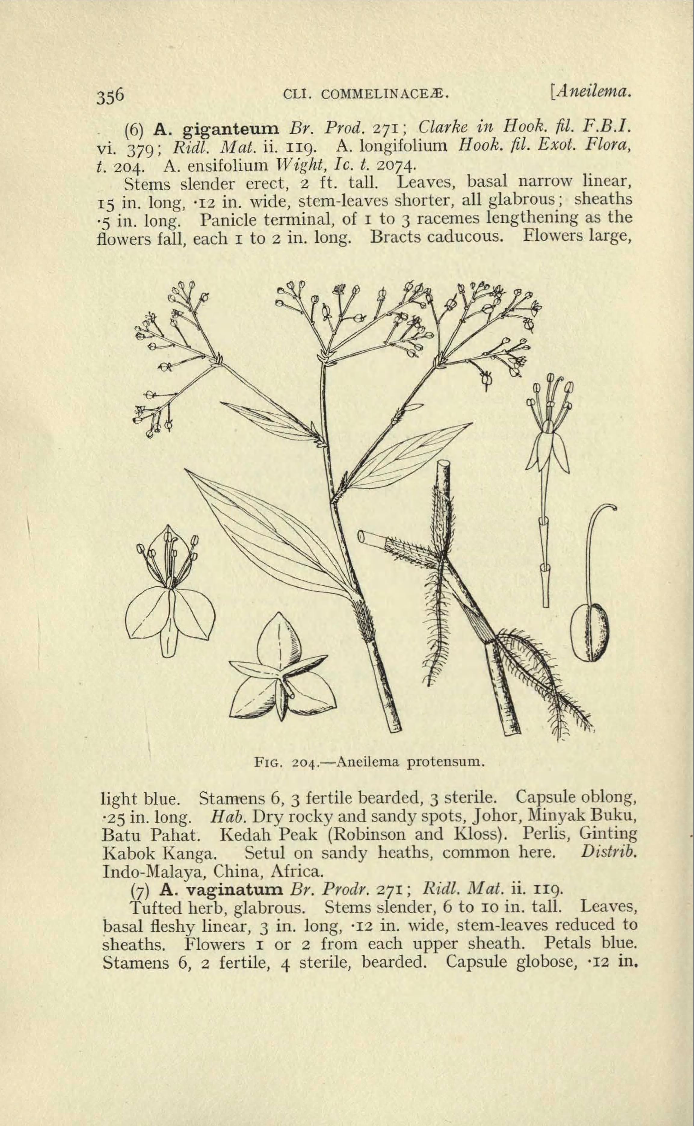 no full size  illustration available (3a)