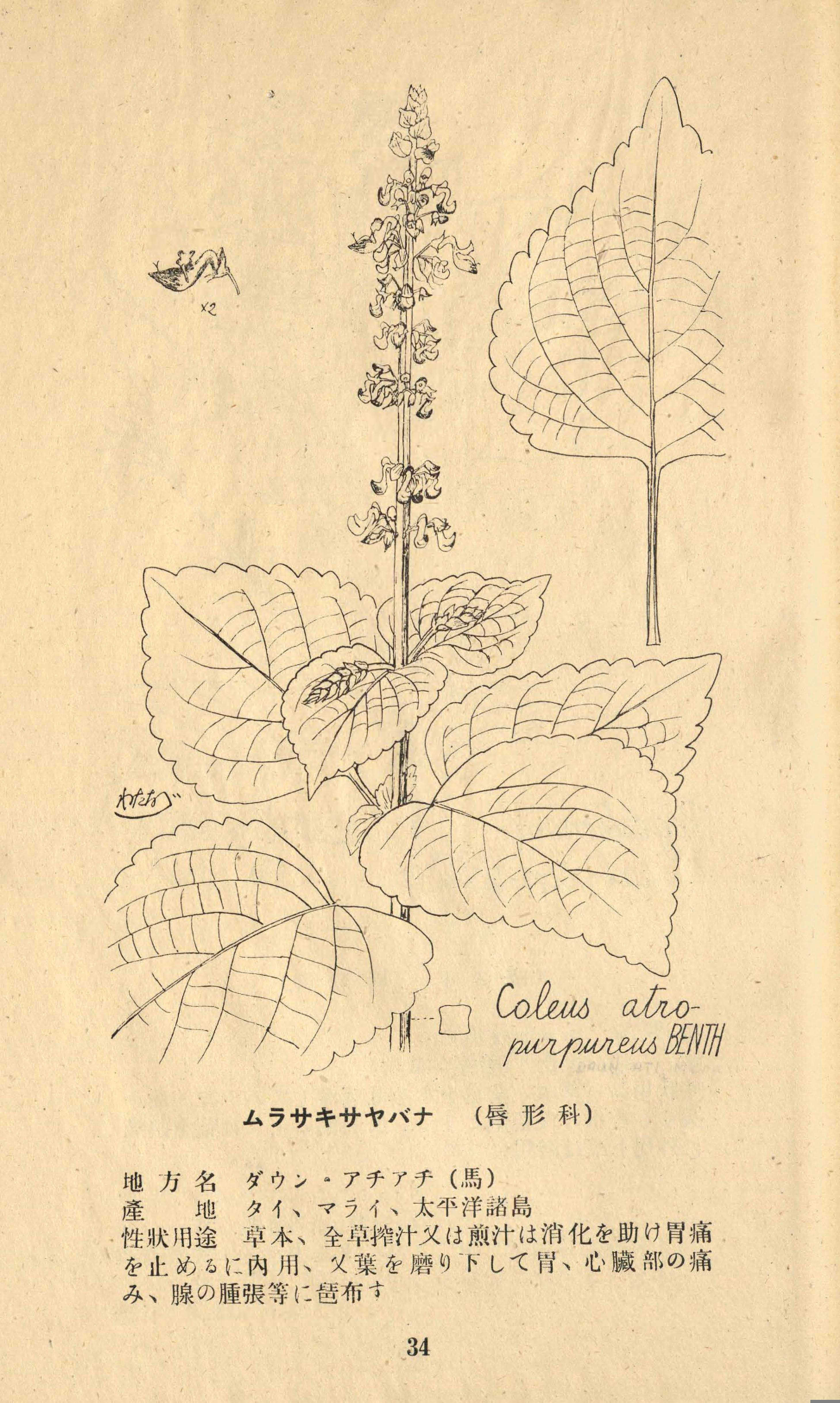 no full size  illustration available (3a)