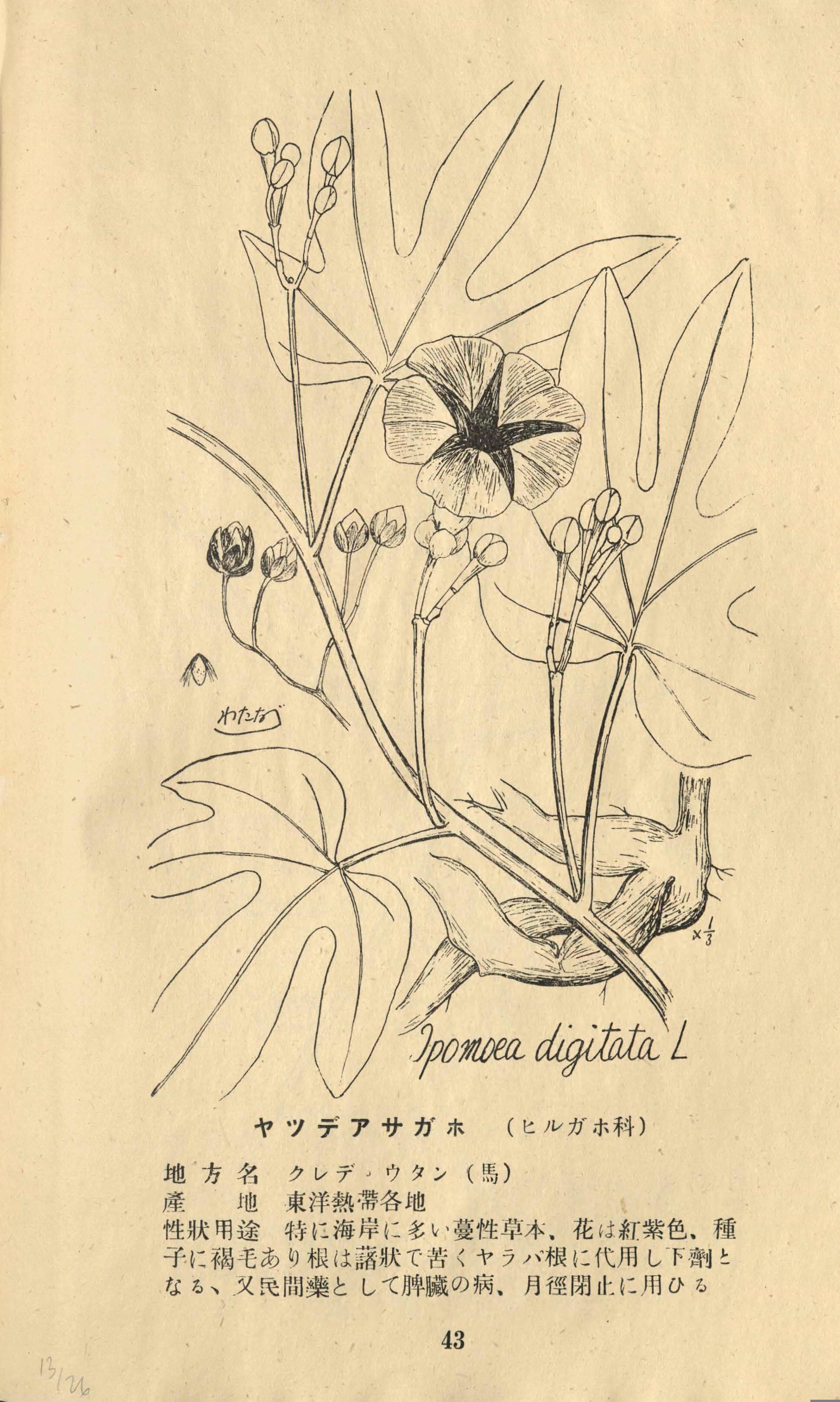 no full size  illustration available (3a)