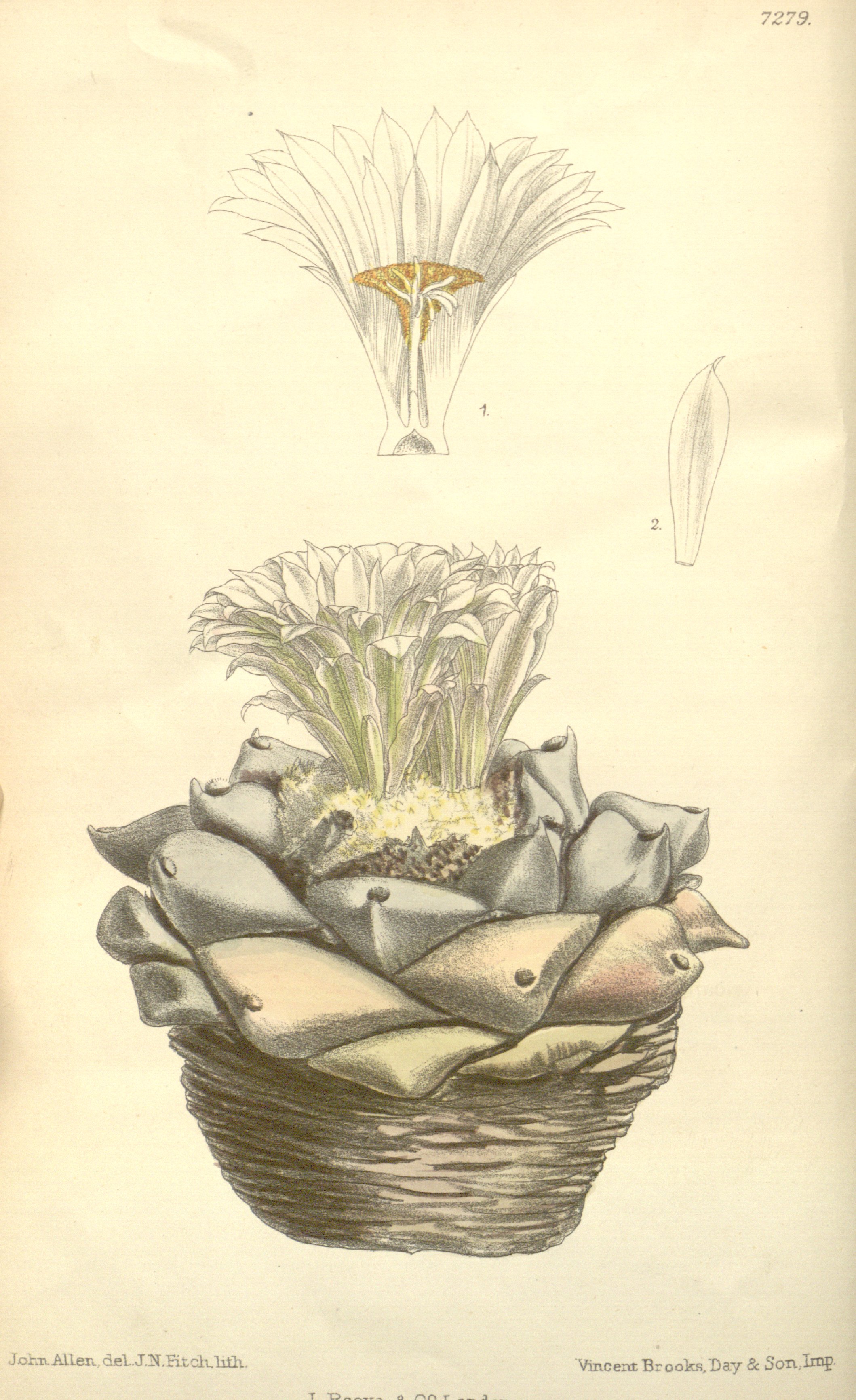 no full size  illustration available (3a)