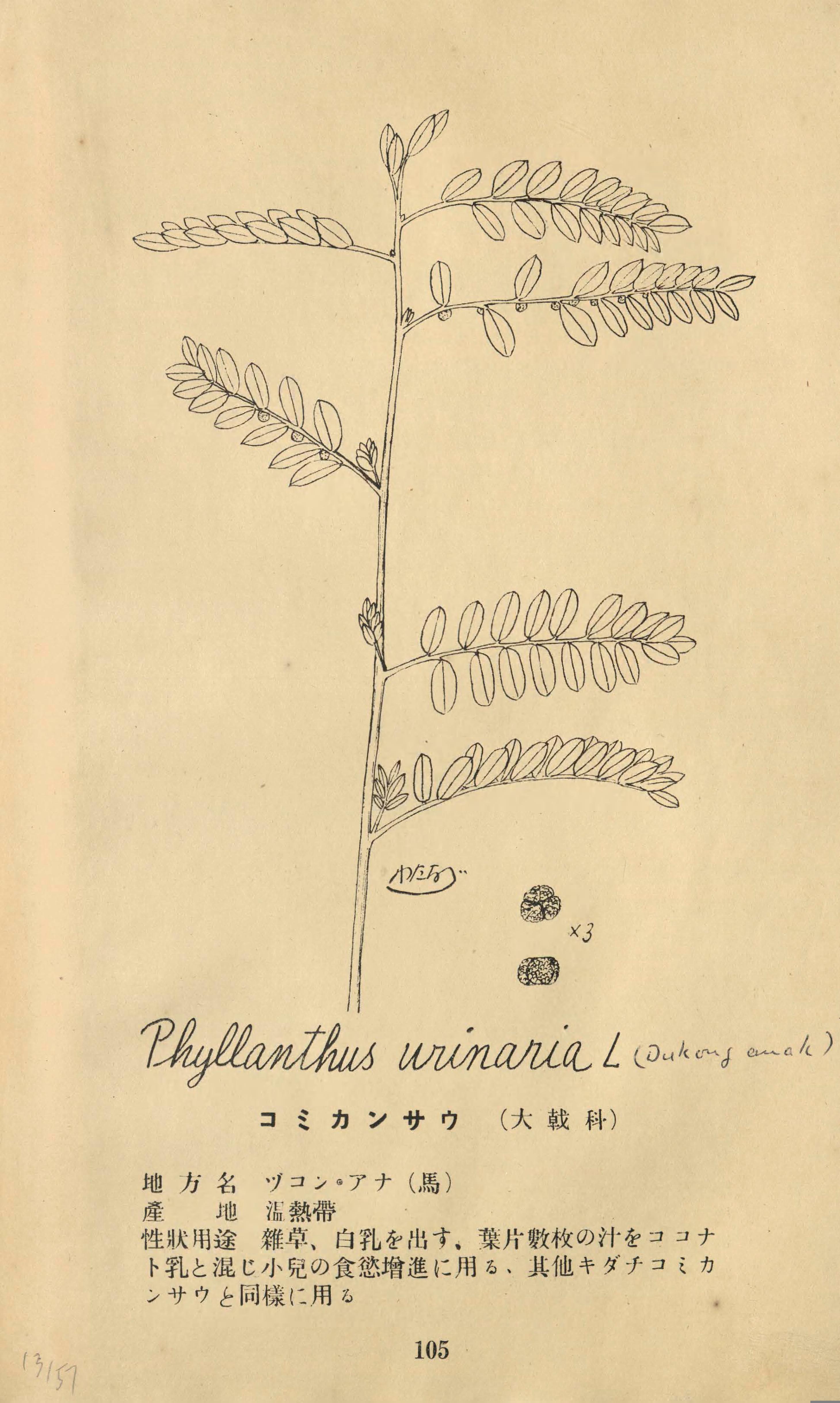 no full size  illustration available (3a)