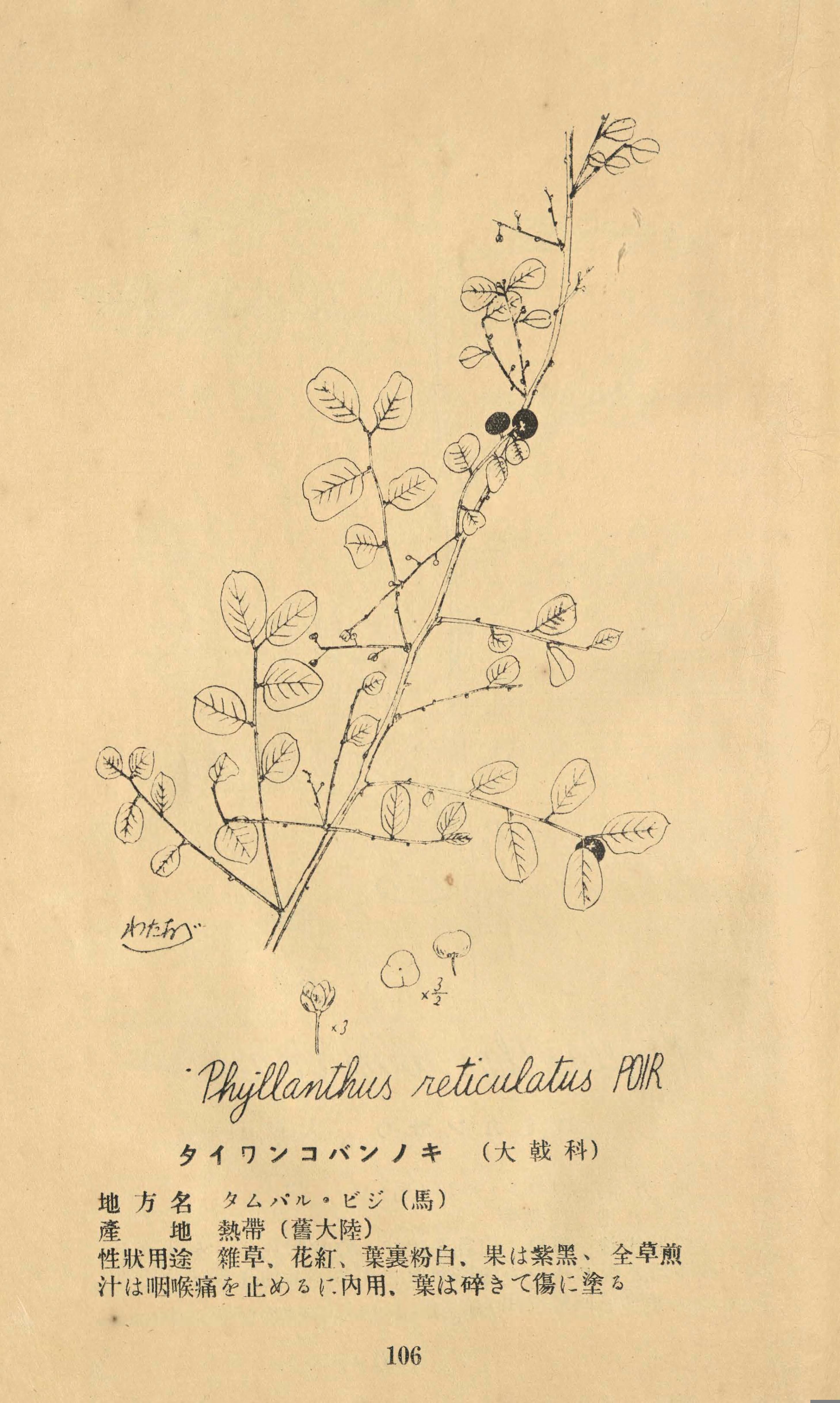 no full size  illustration available (3a)