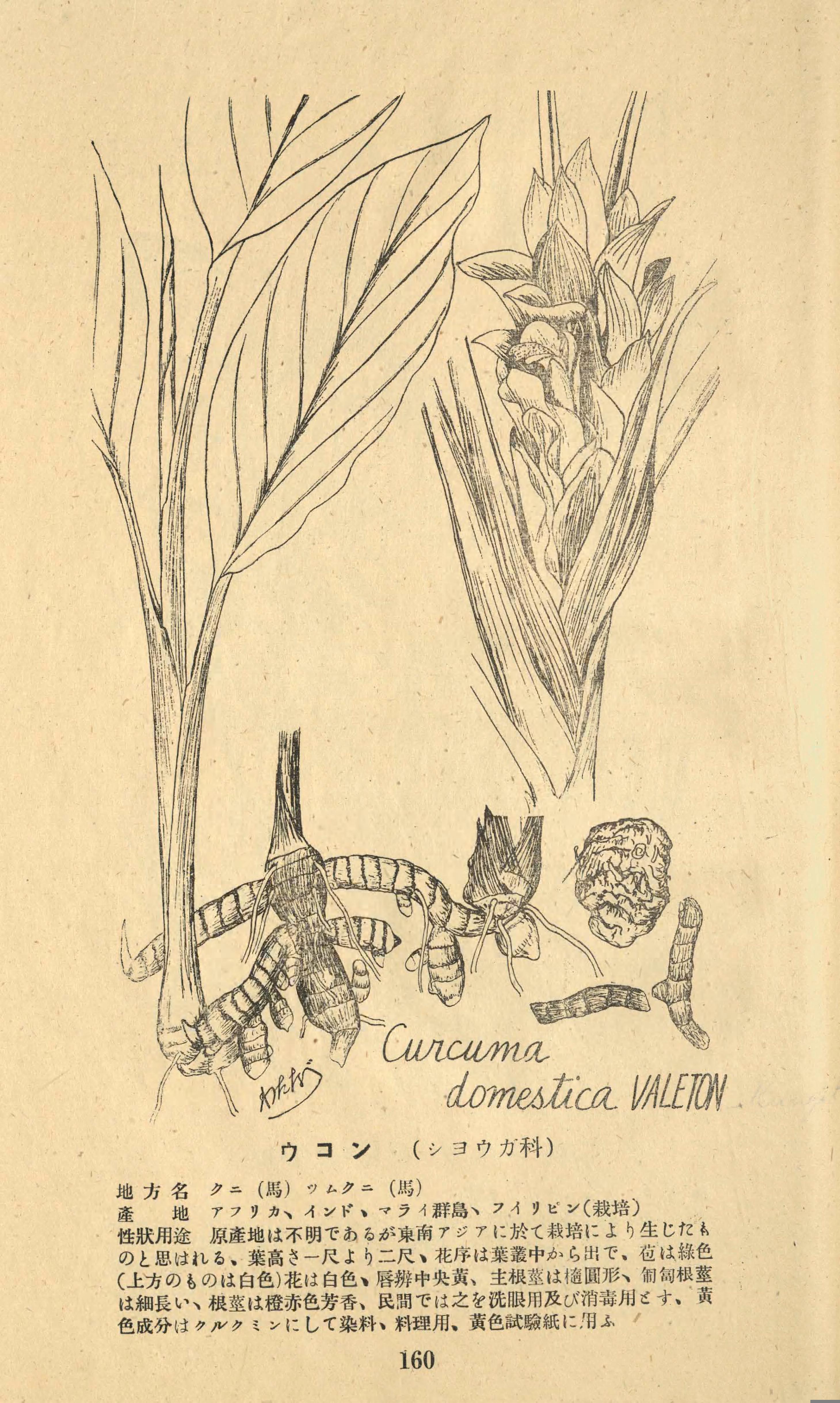 no full size  illustration available (3a)