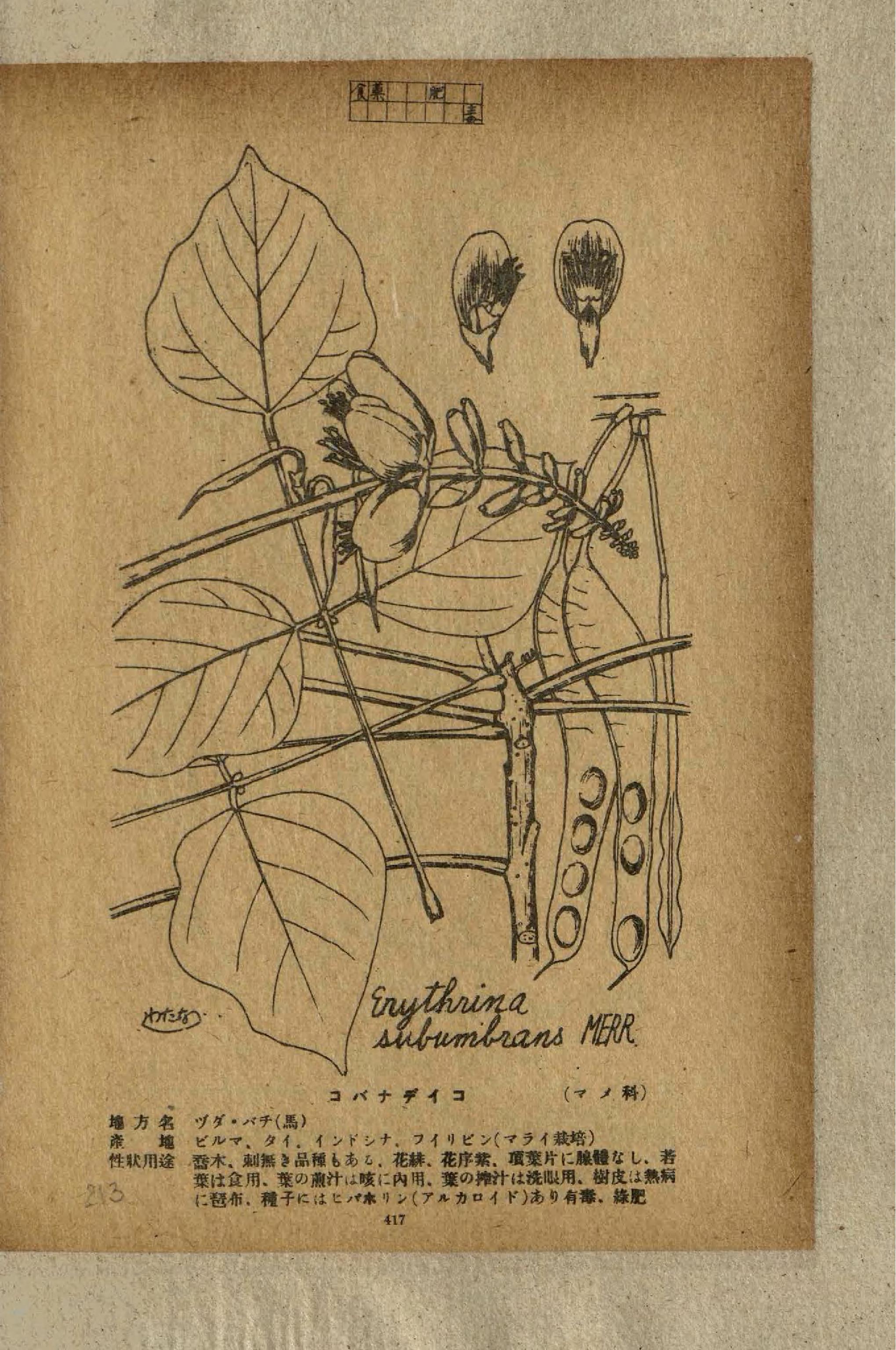 no full size  illustration available (3a)