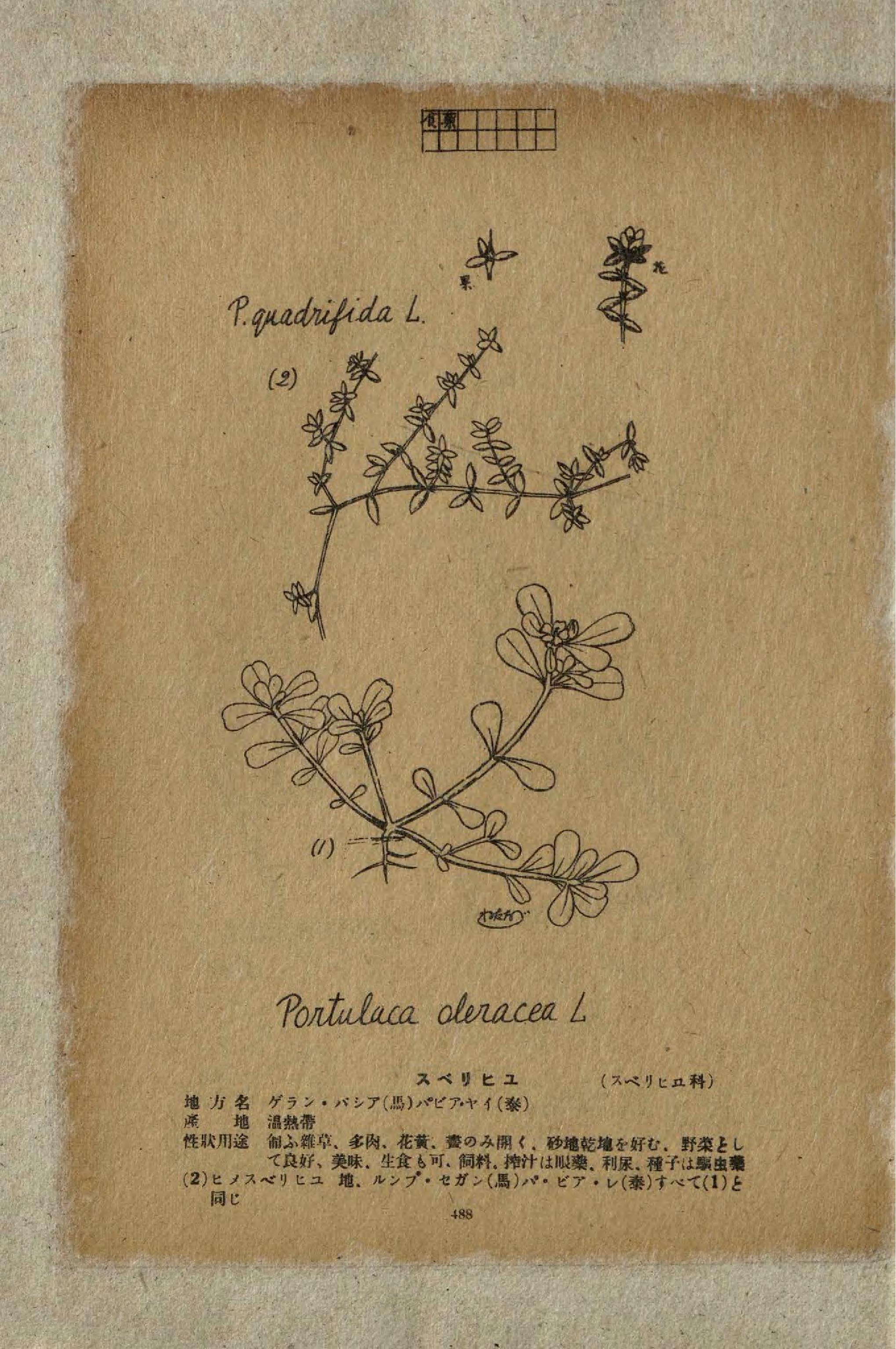 no full size  illustration available (3a)