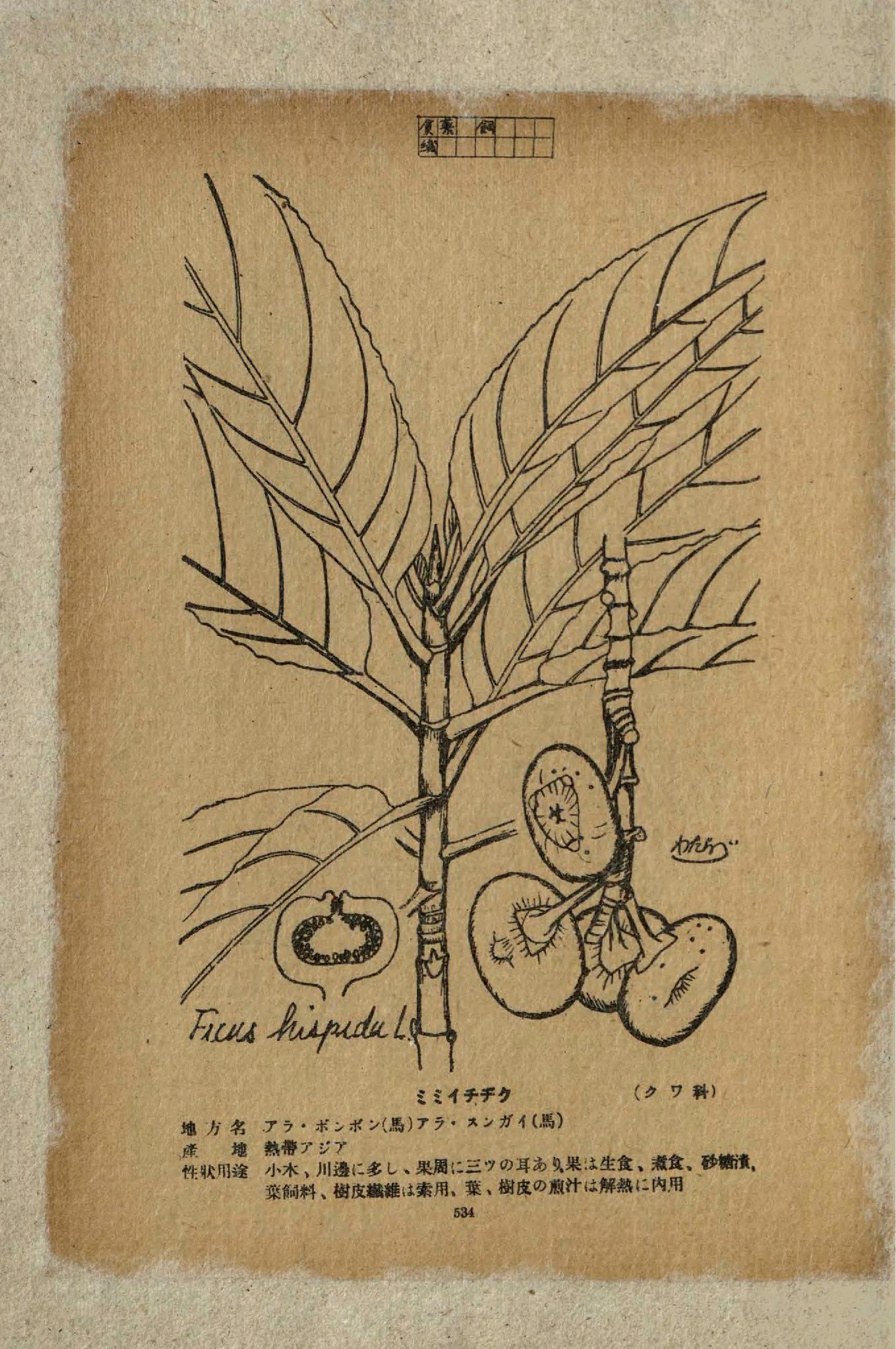 no full size  illustration available (3a)