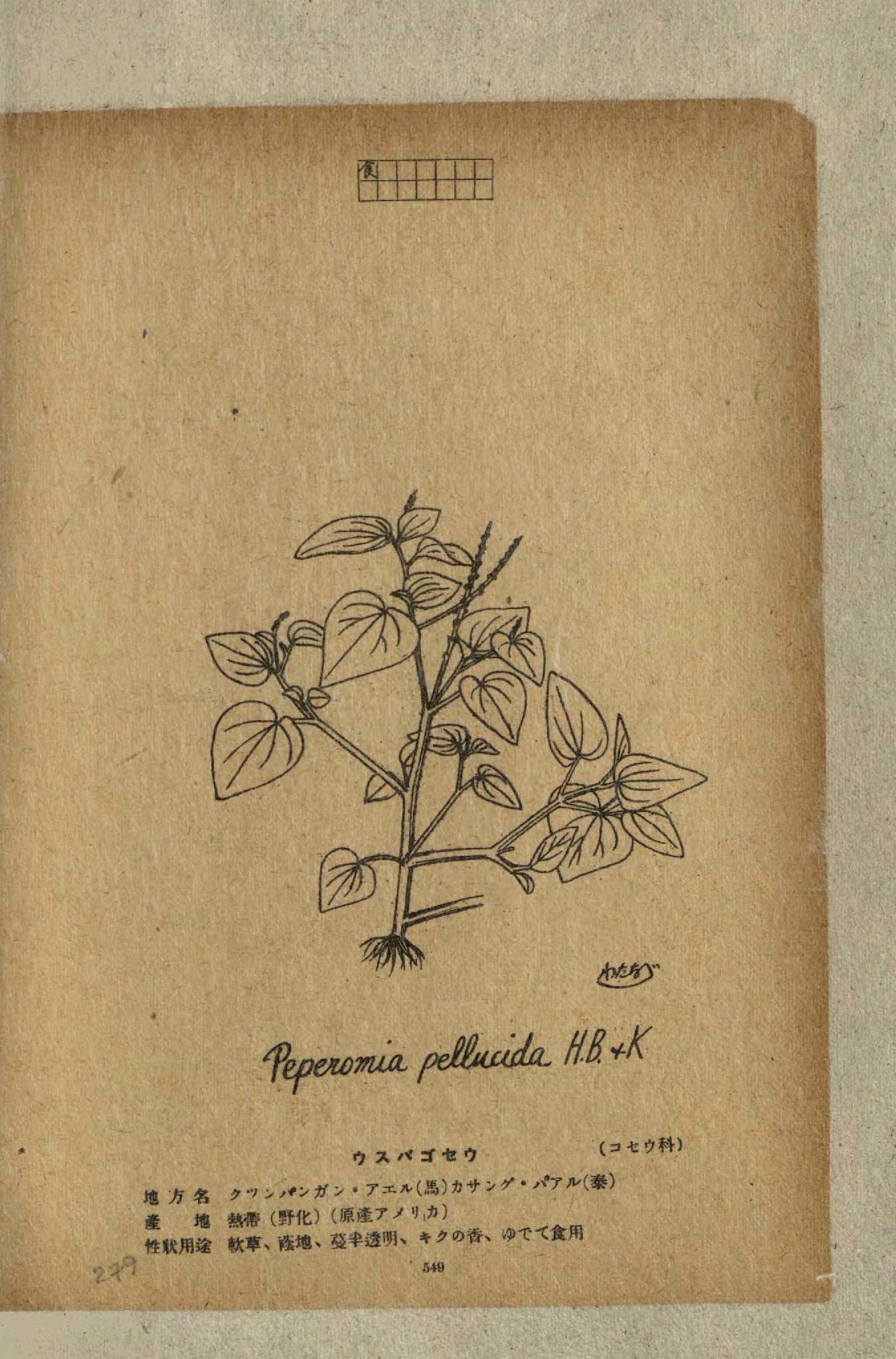 no full size  illustration available (3a)