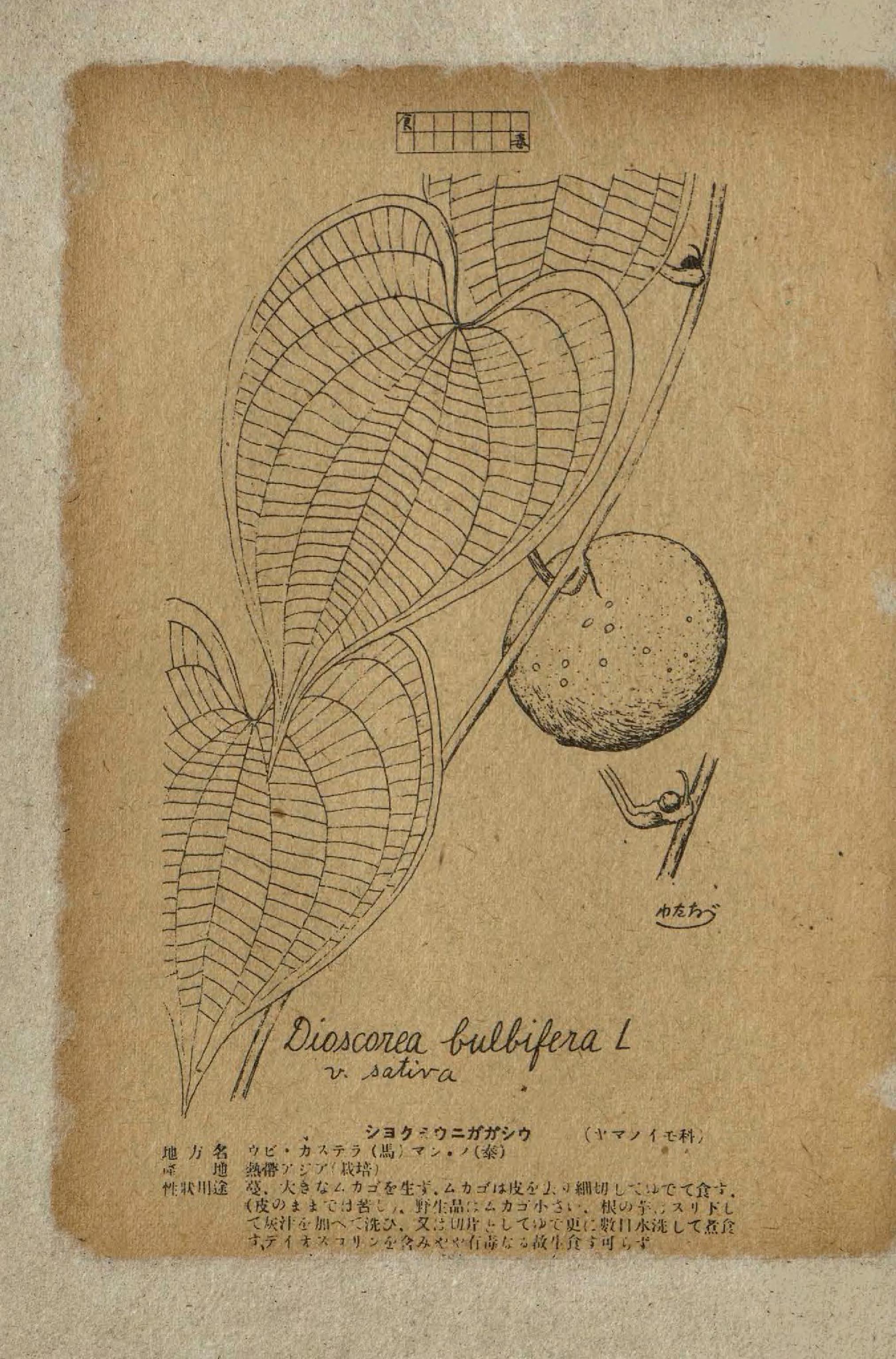 no full size  illustration available (3a)