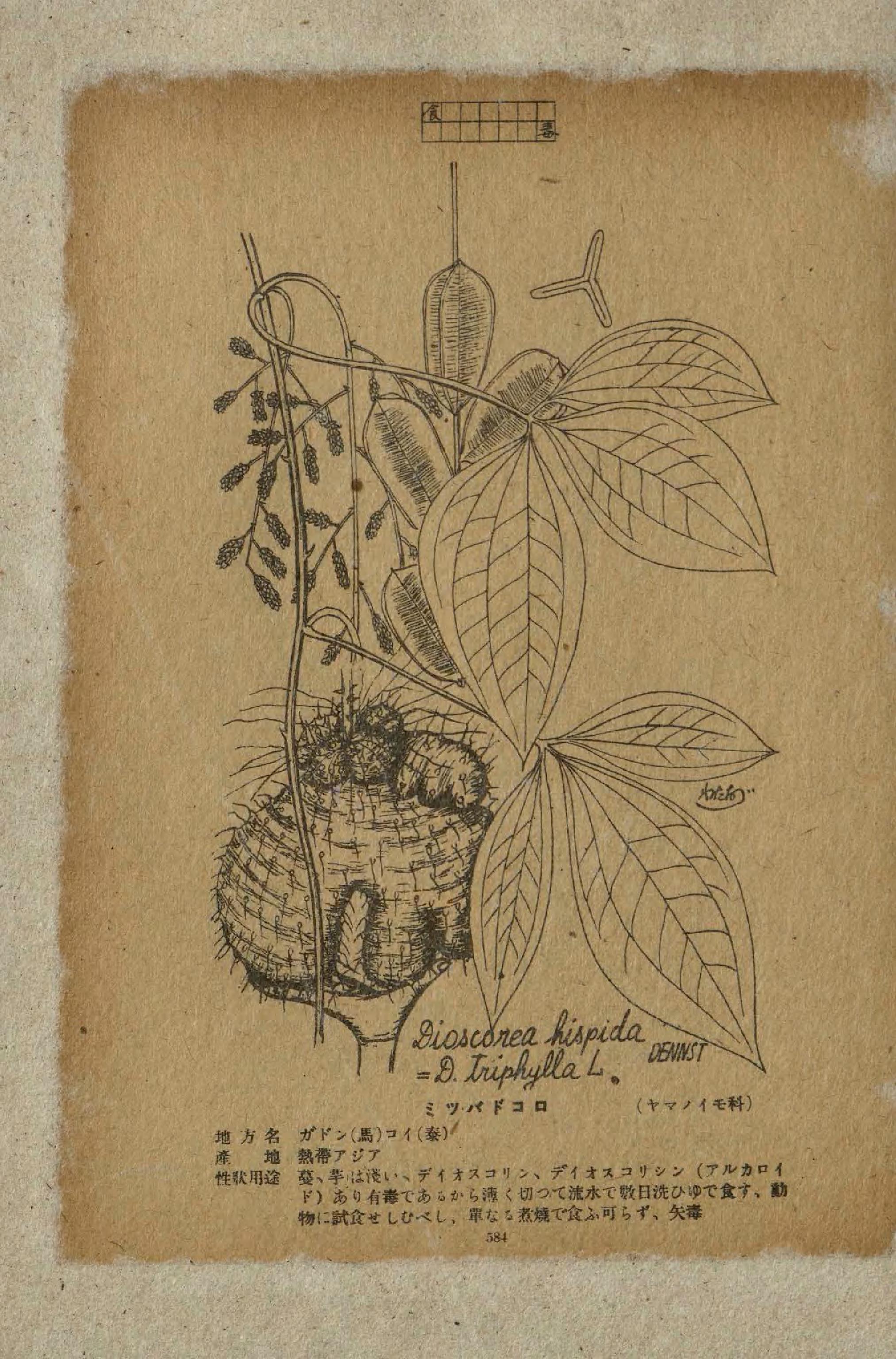 no full size  illustration available (3a)