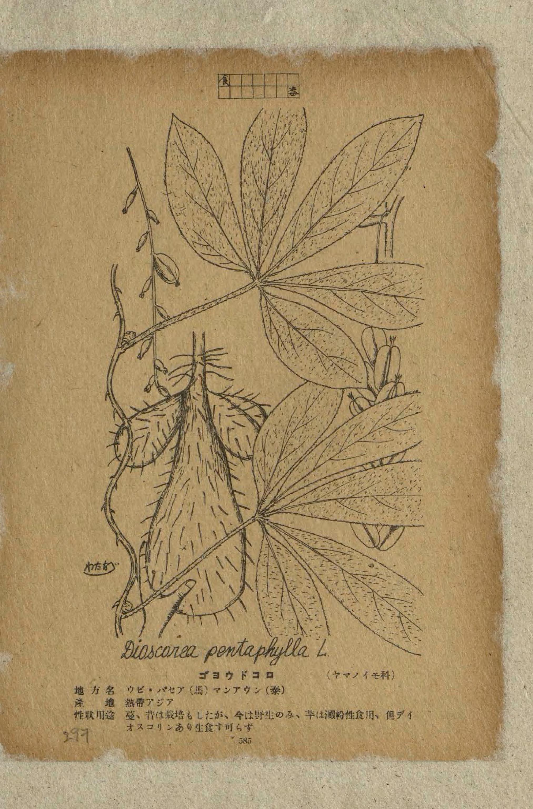 no full size  illustration available (3a)