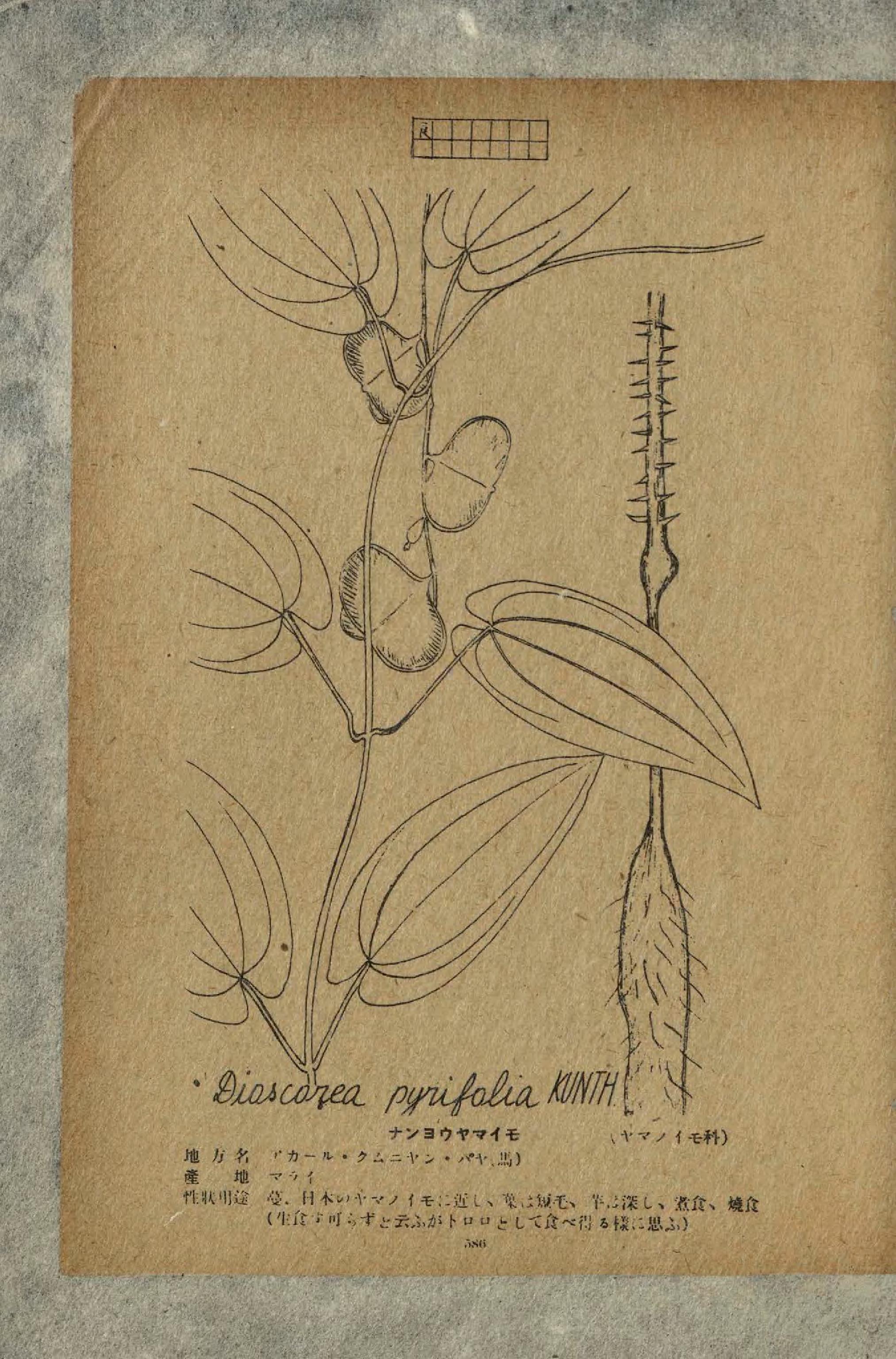 no full size  illustration available (3a)