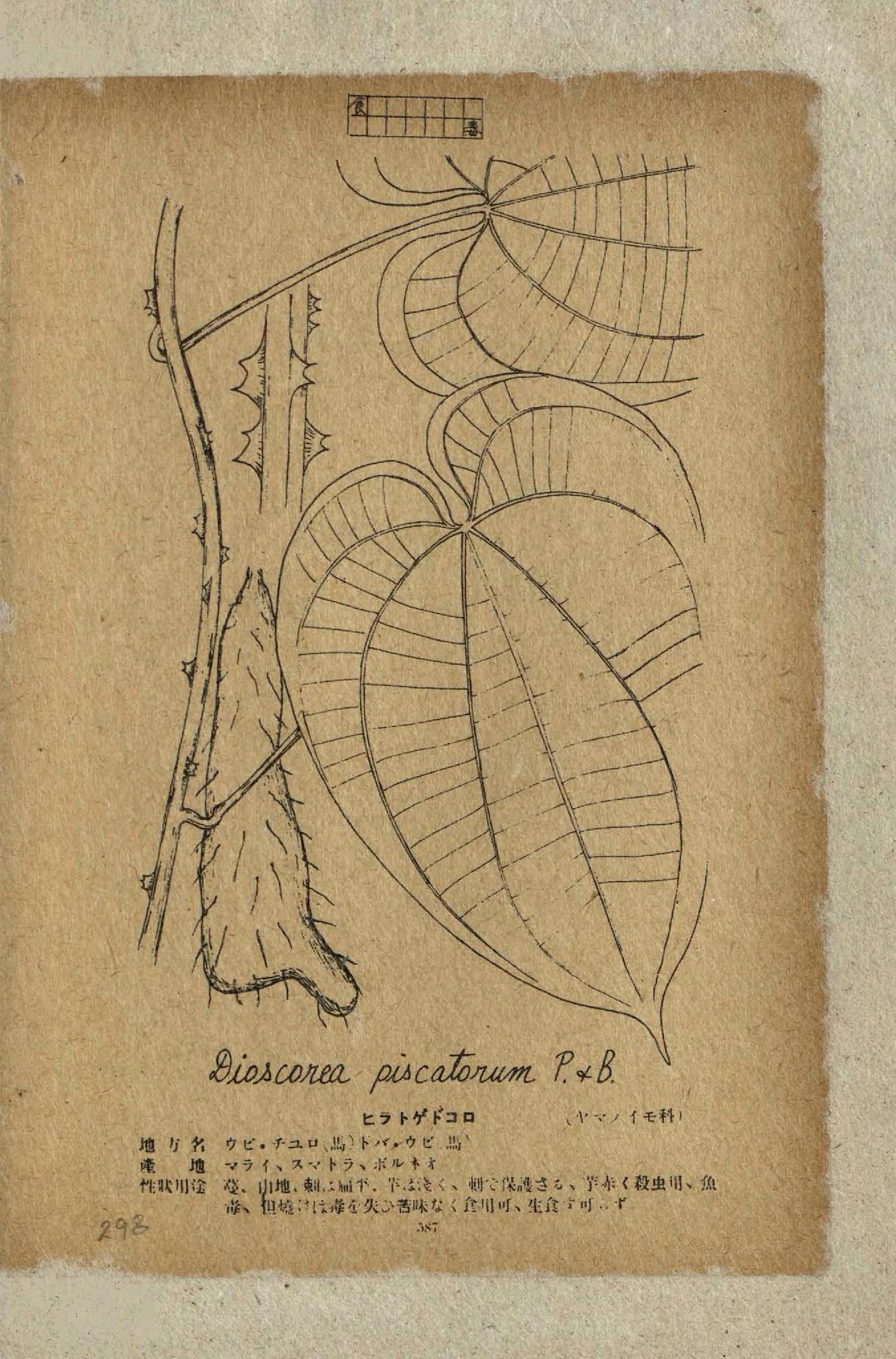 no full size  illustration available (3a)