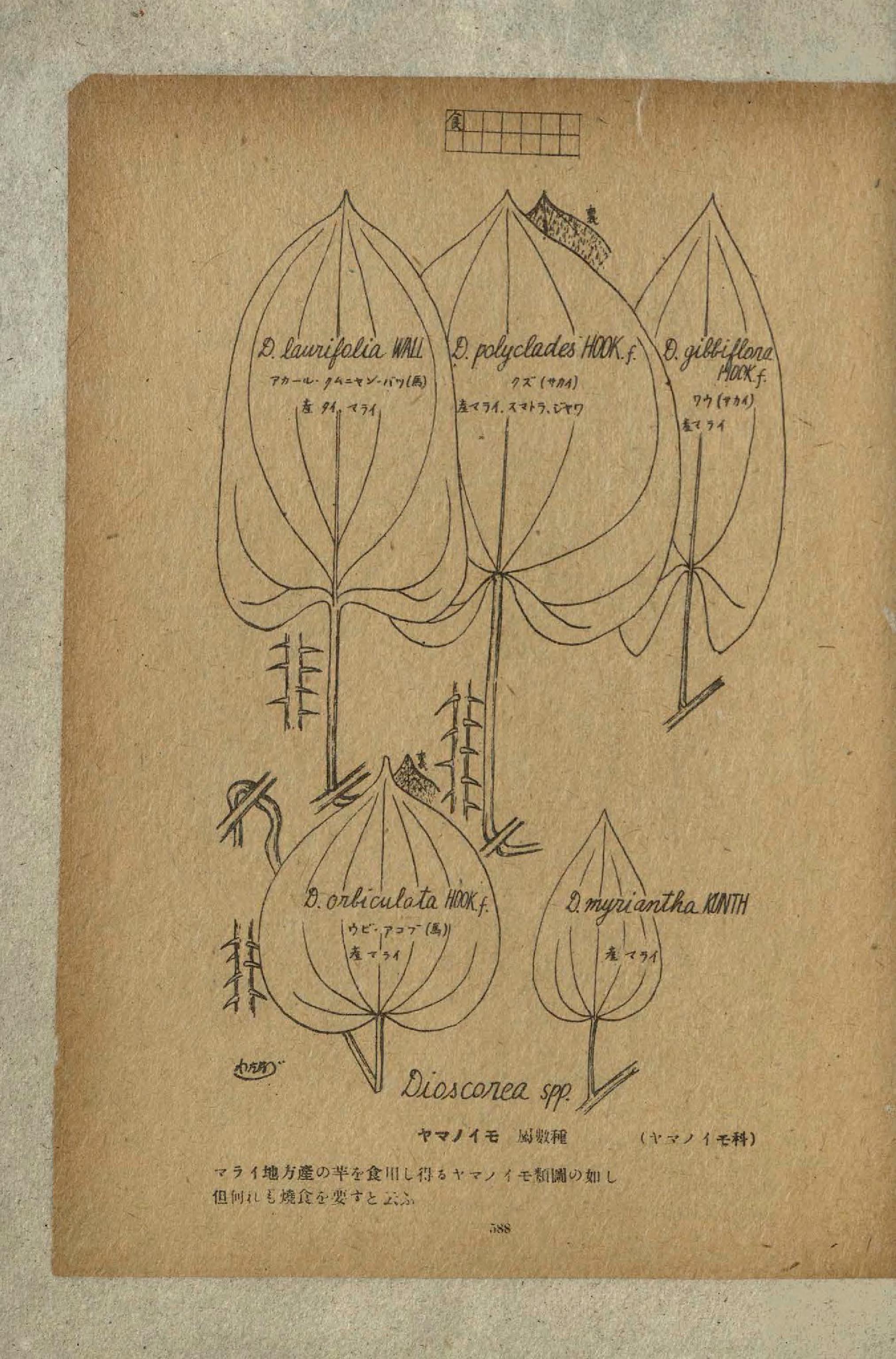 no full size  illustration available (3a)