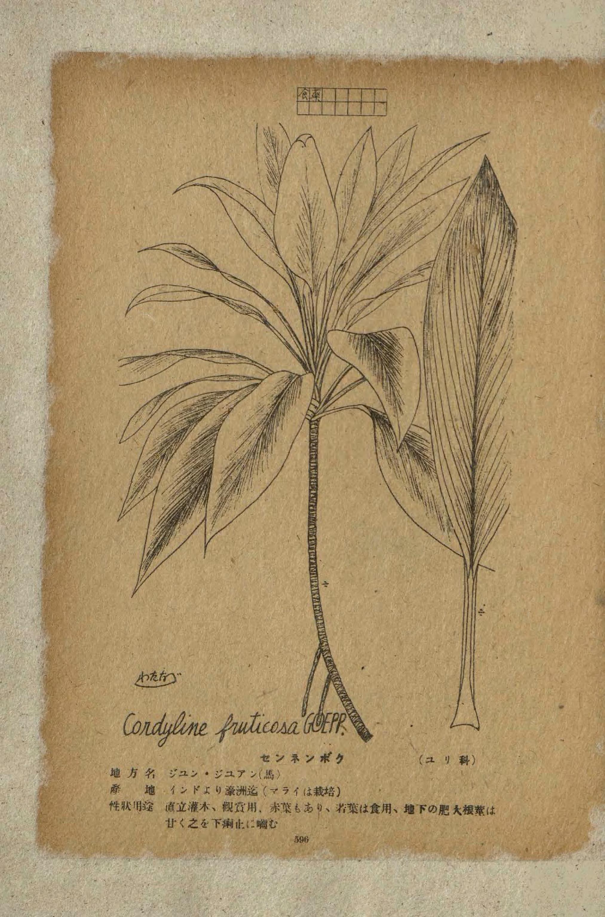 no full size  illustration available (3a)