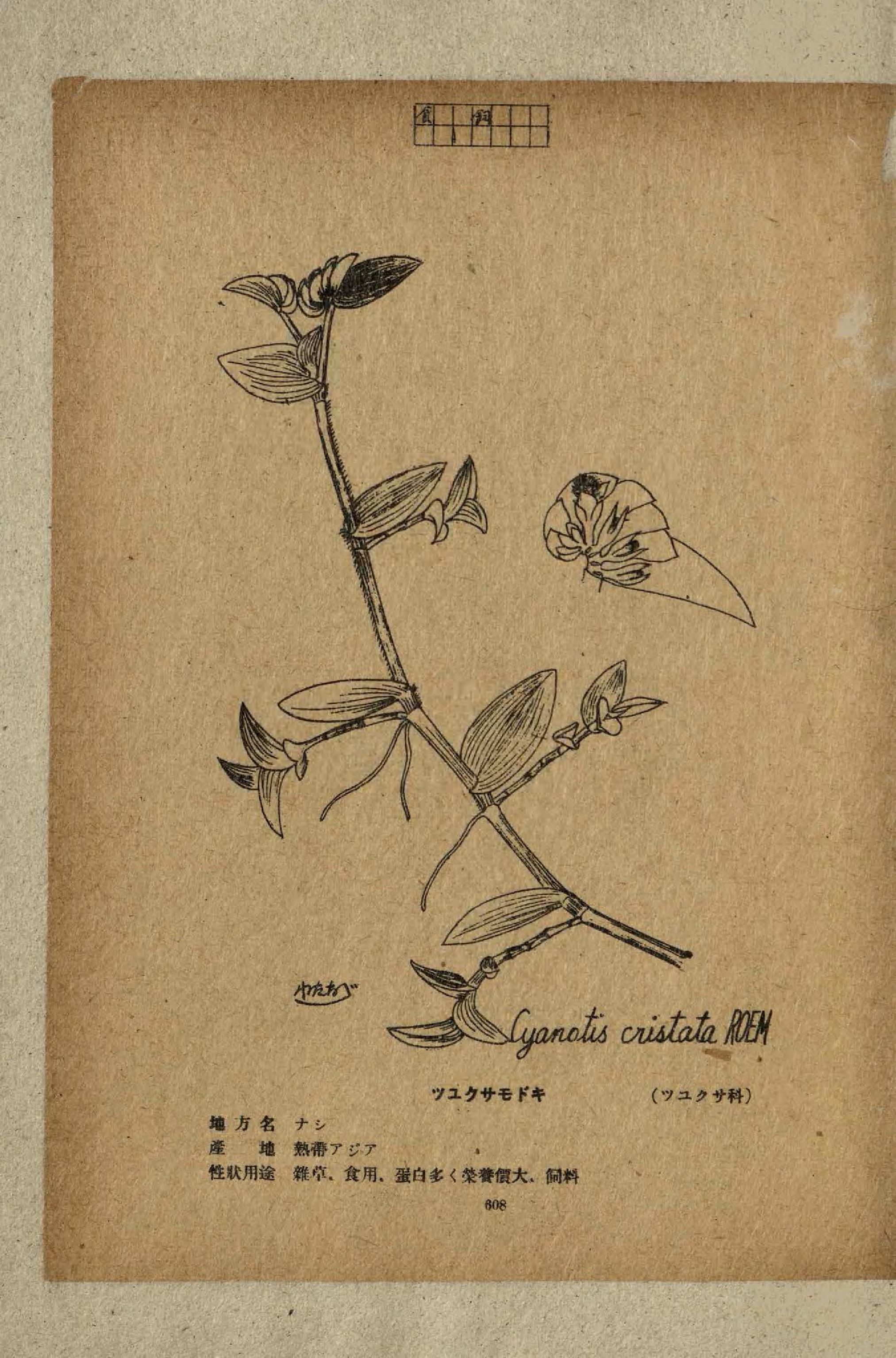 no full size  illustration available (3a)