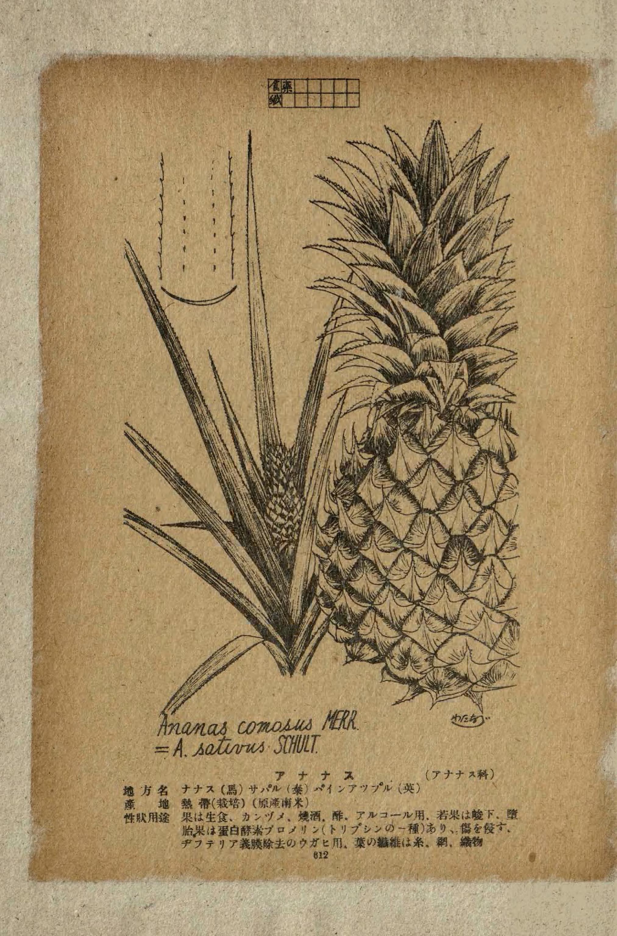 no full size  illustration available (3a)