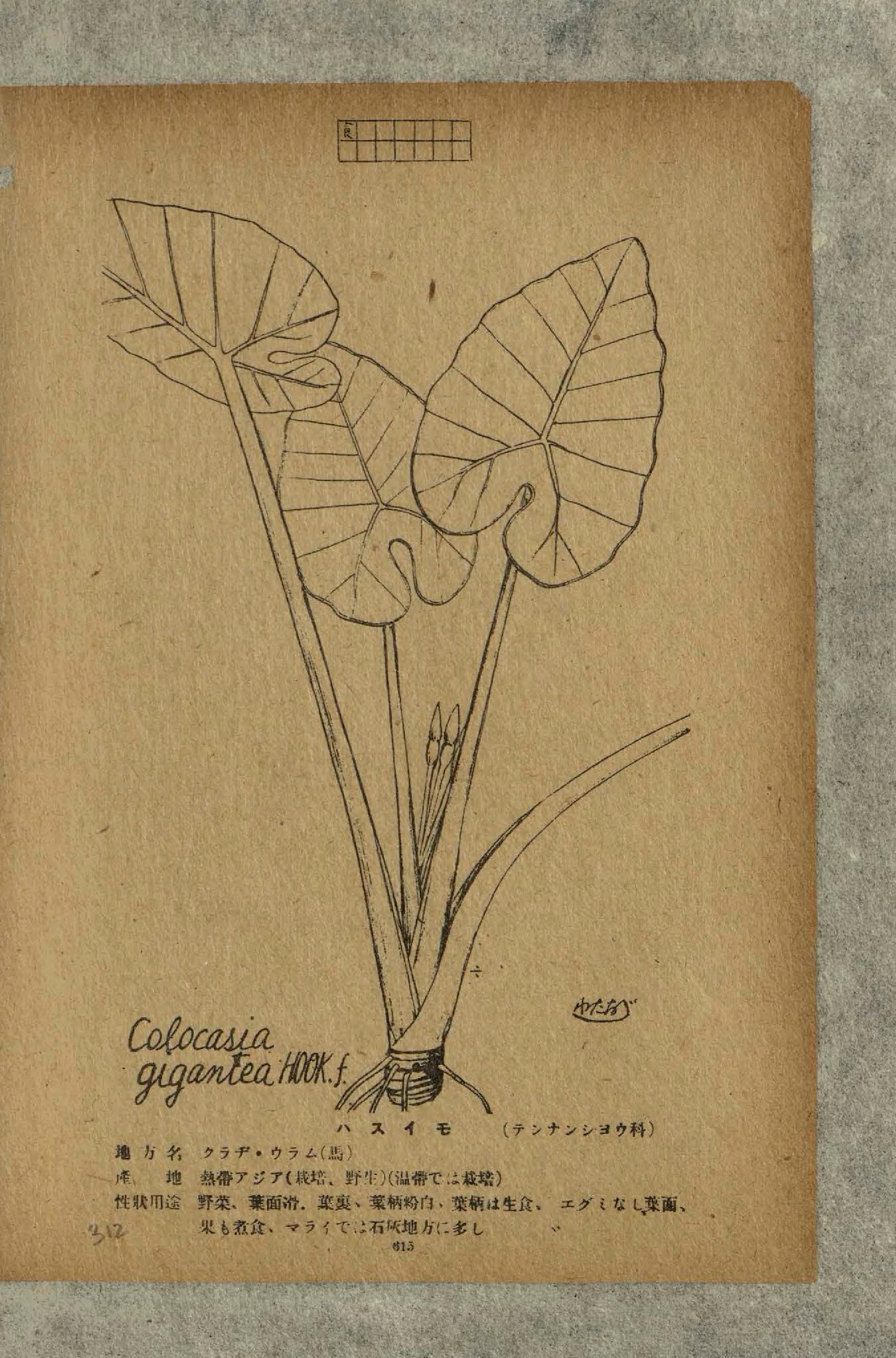 no full size  illustration available (3a)