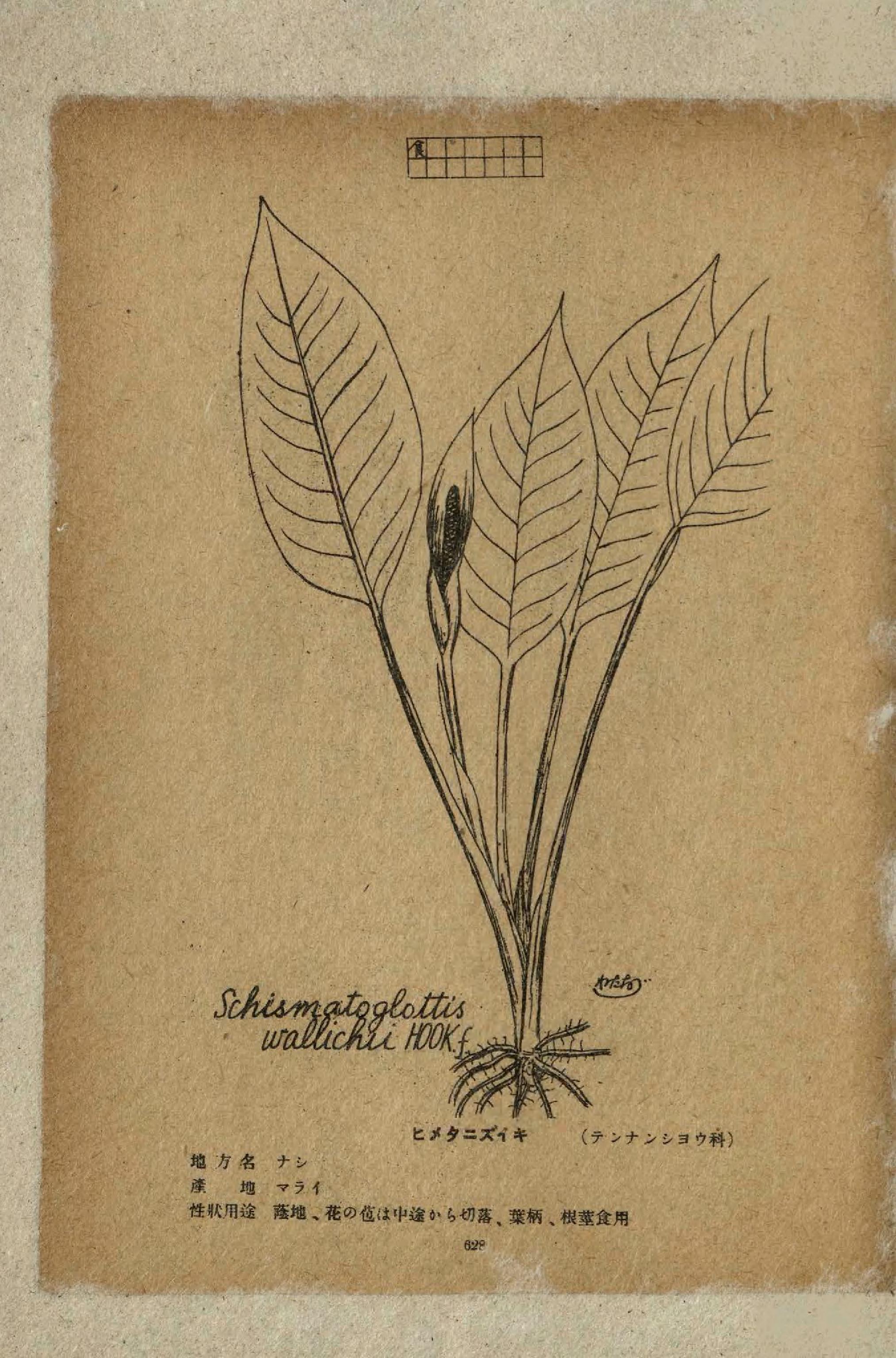 no full size  illustration available (3a)