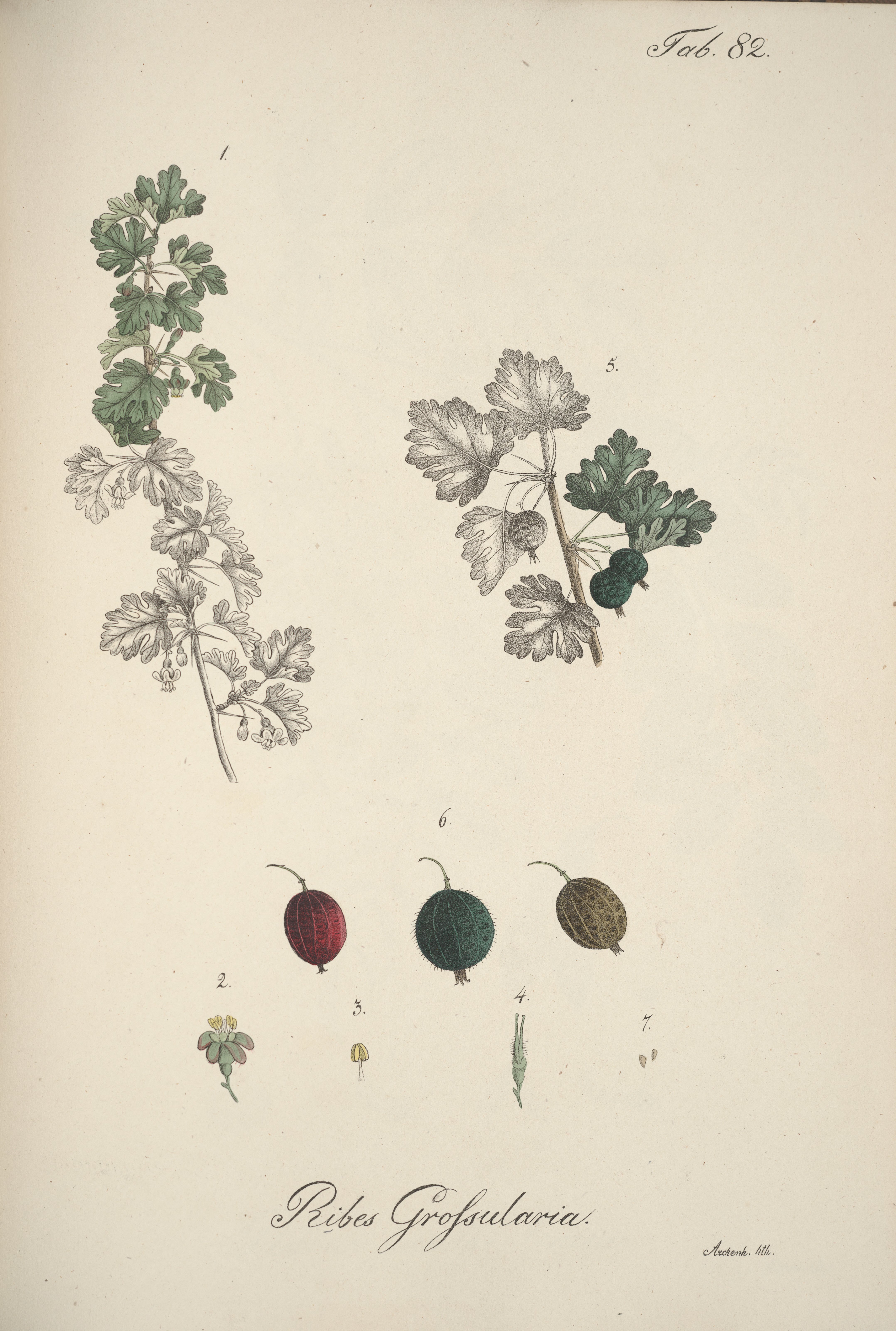 no full size  illustration available (3a)