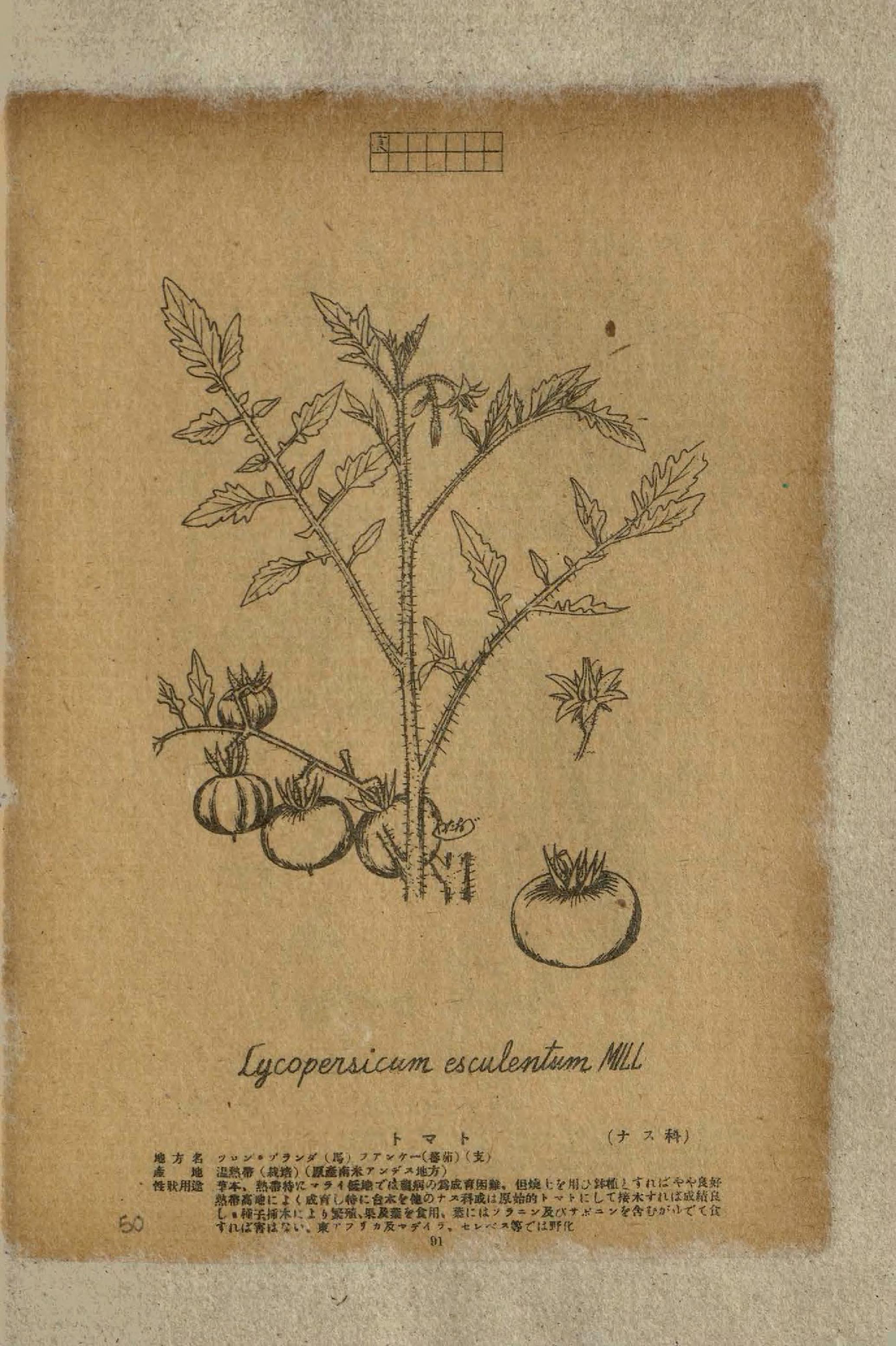 no full size  illustration available (3a)