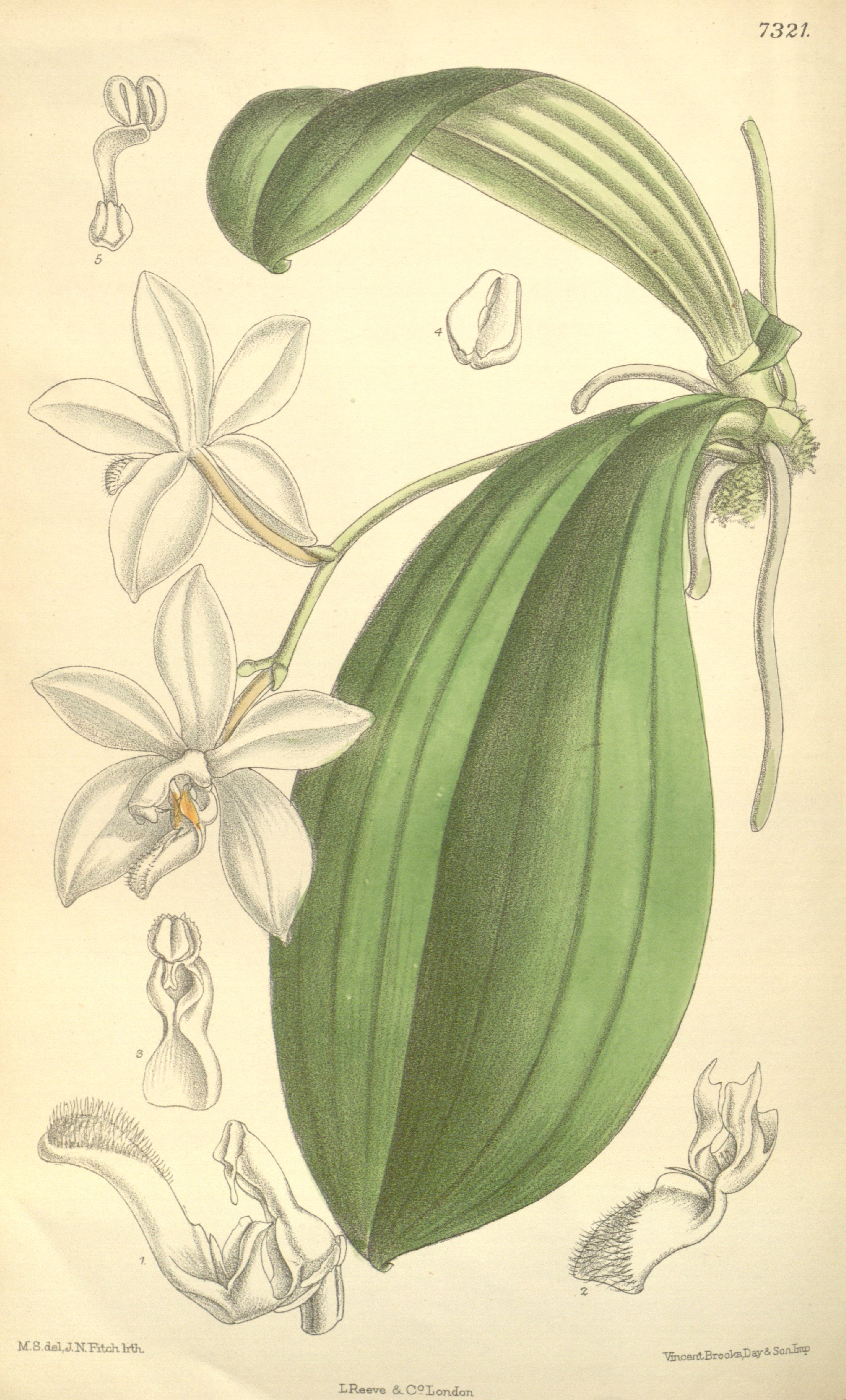 no full size  illustration available (3a)