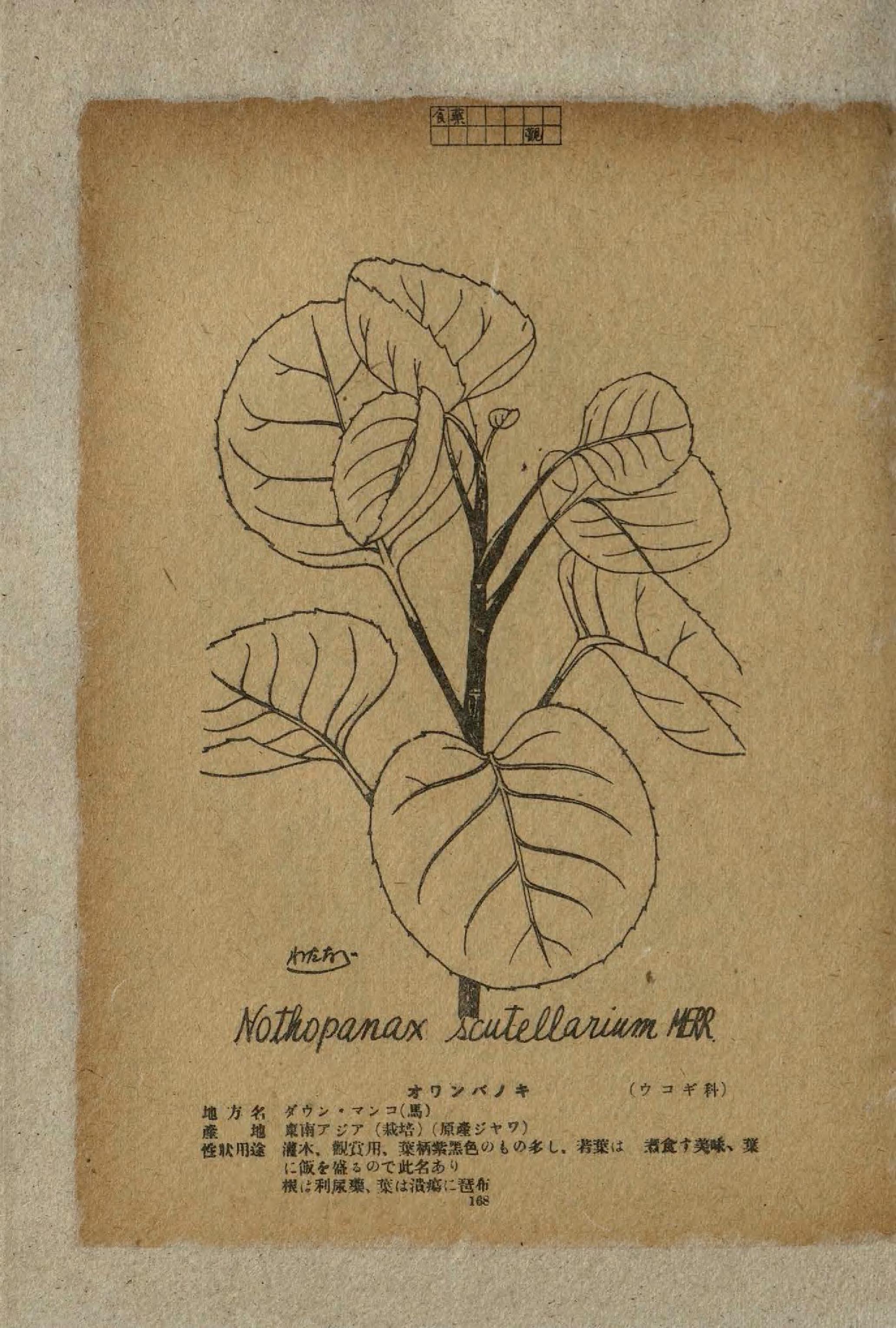 no full size  illustration available (3a)