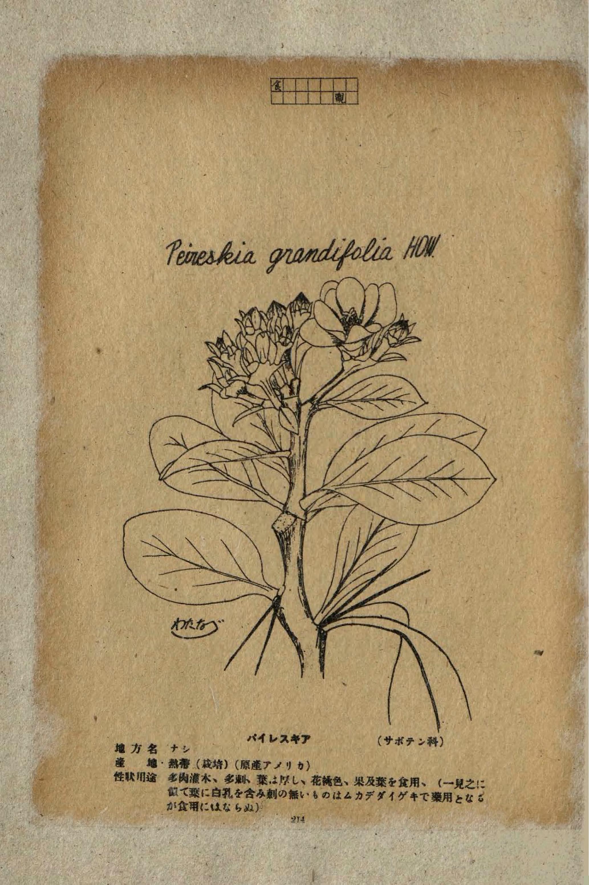 no full size  illustration available (3a)