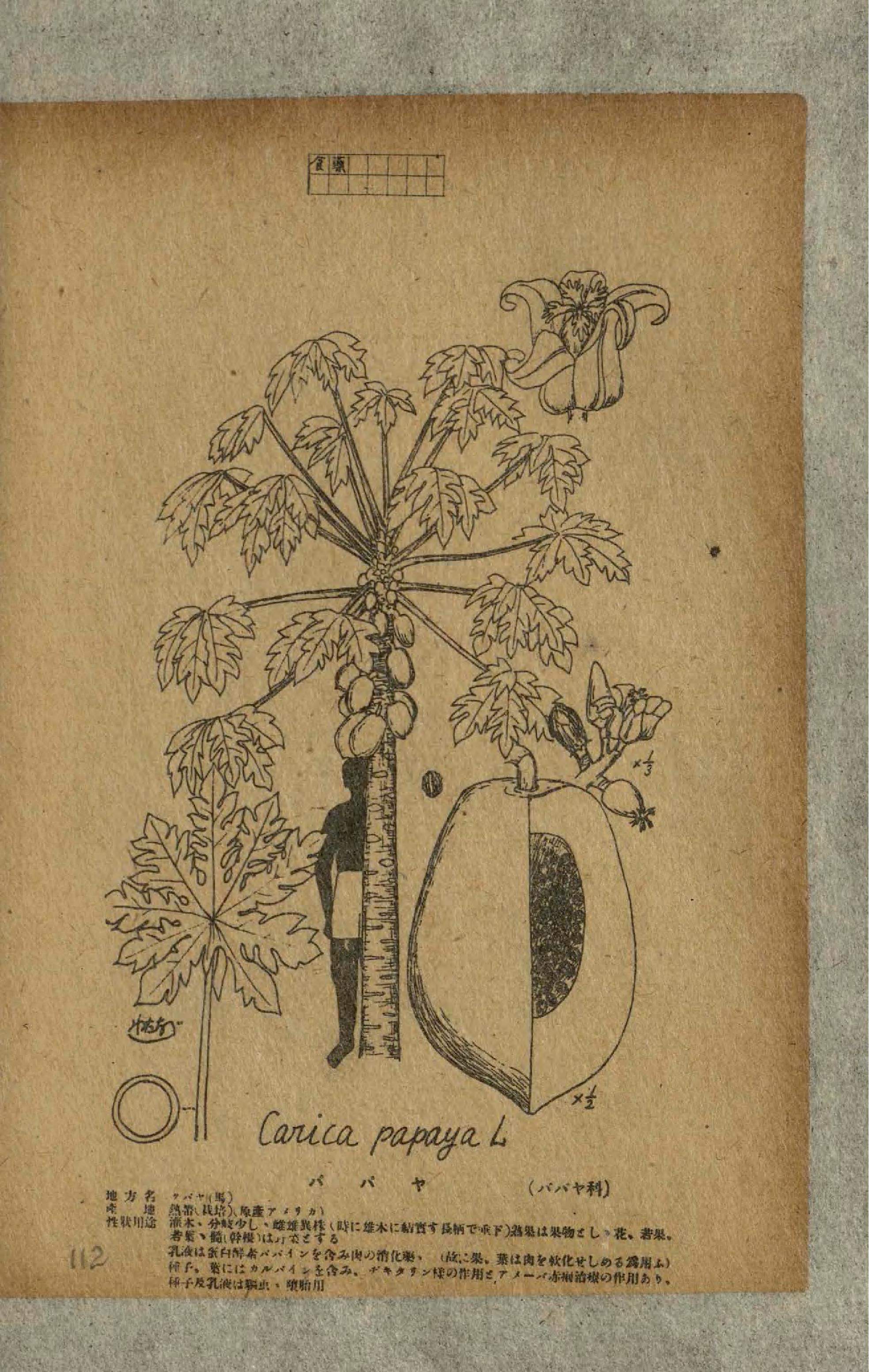 no full size  illustration available (3a)