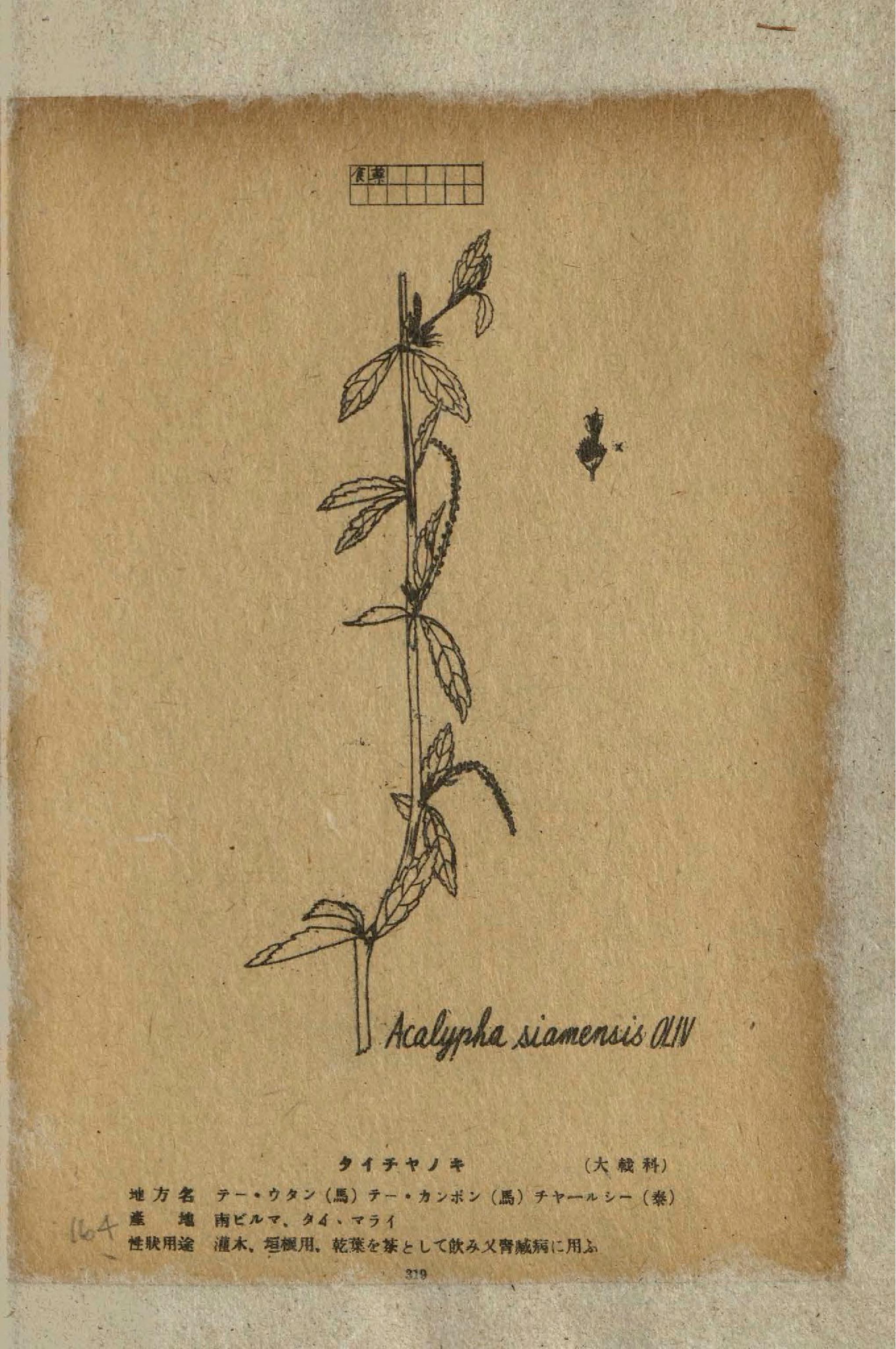 no full size  illustration available (3a)