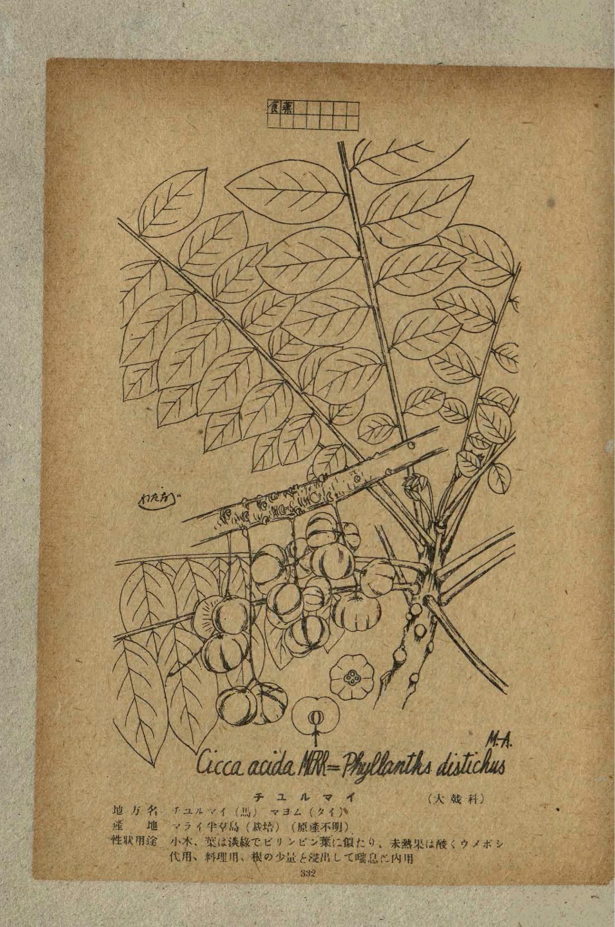 no full size  illustration available (3a)