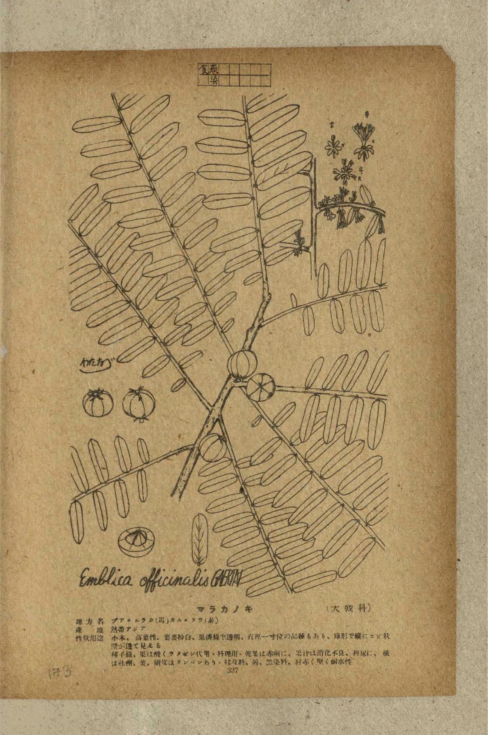 no full size  illustration available (3a)