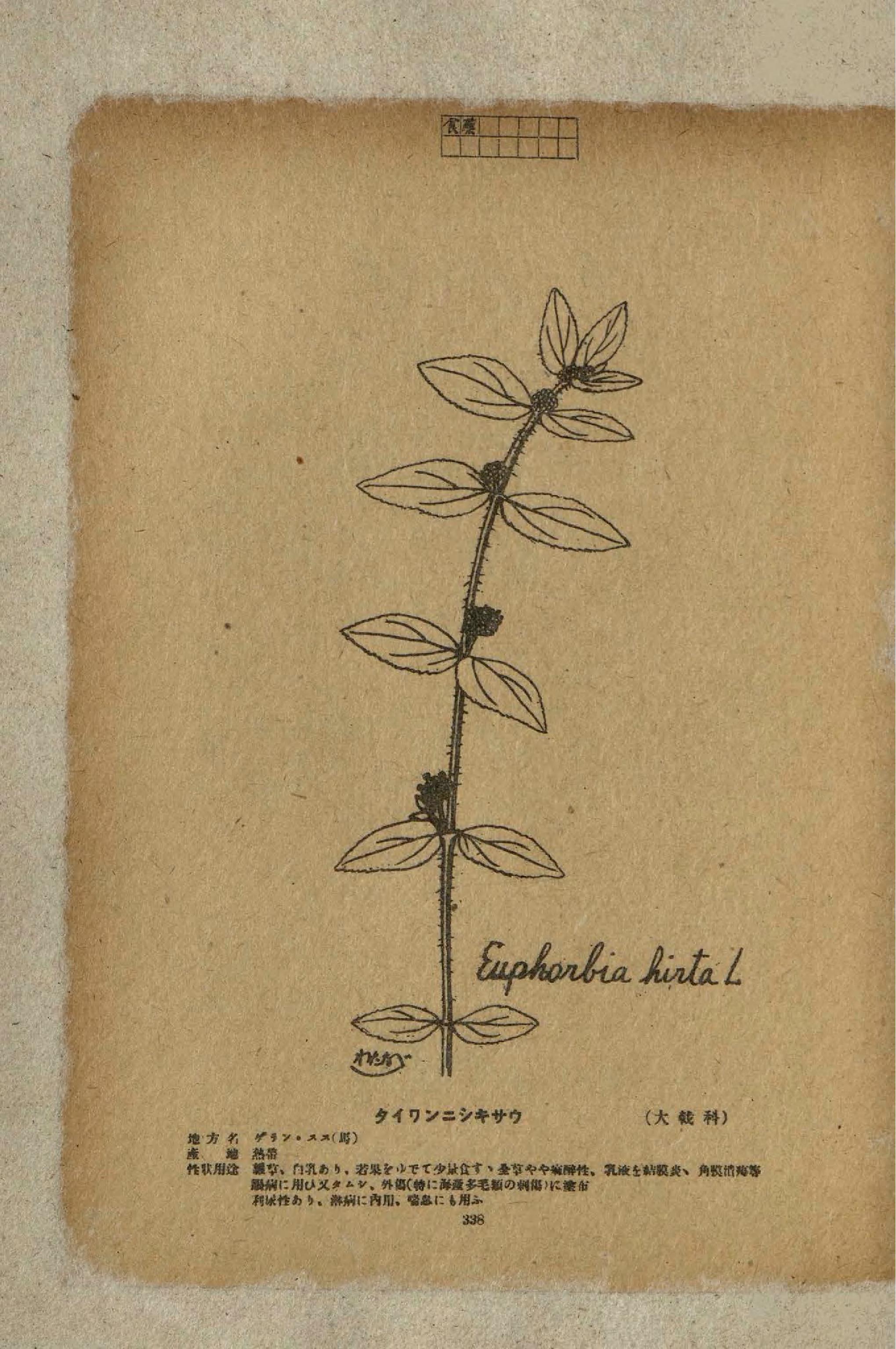 no full size  illustration available (3a)