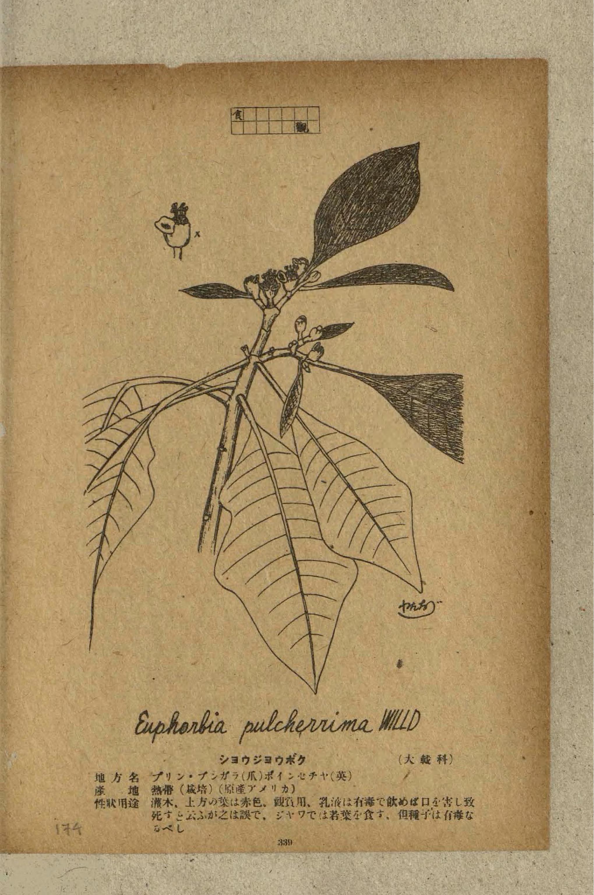 no full size  illustration available (3a)