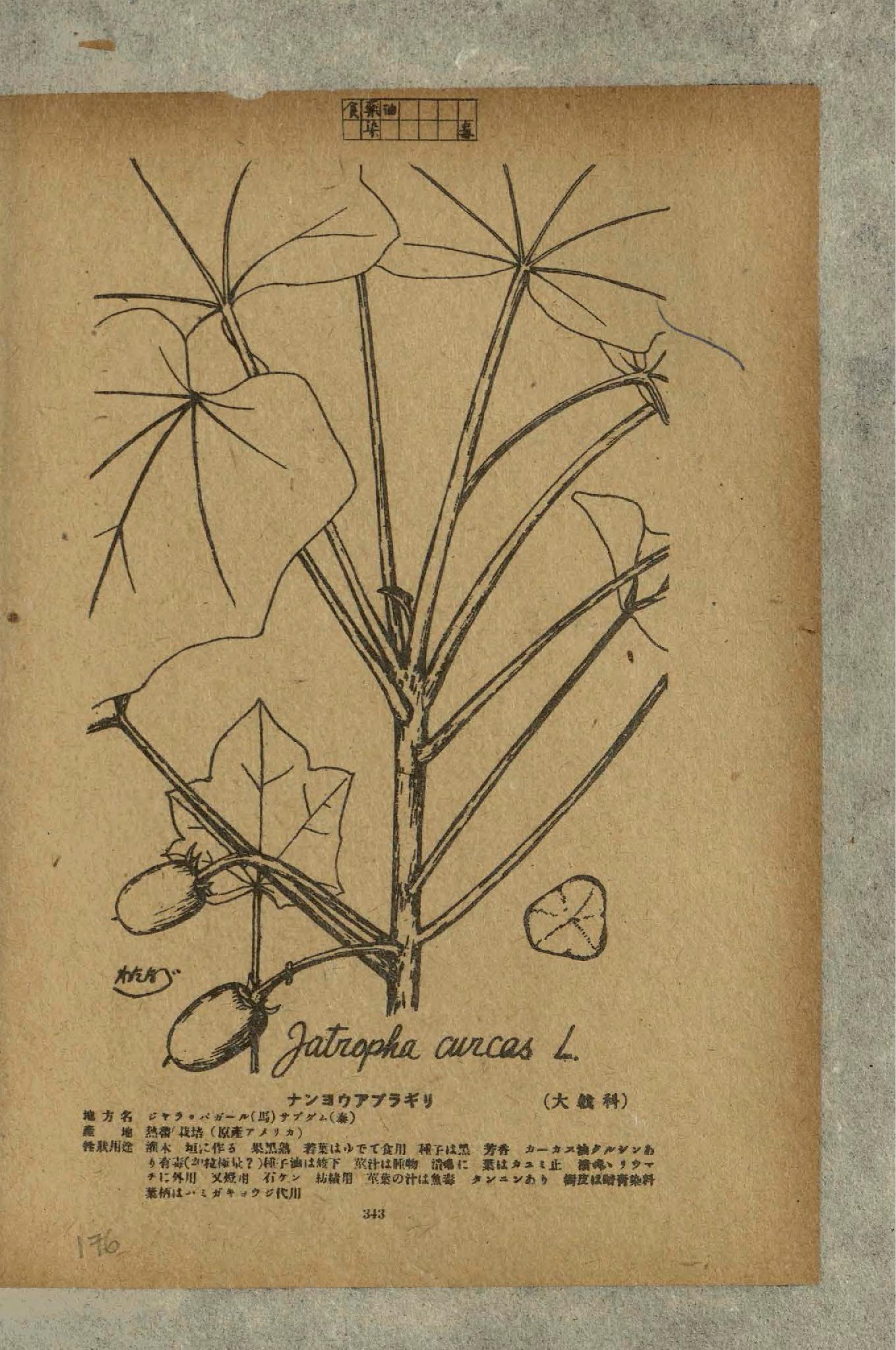 no full size  illustration available (3a)