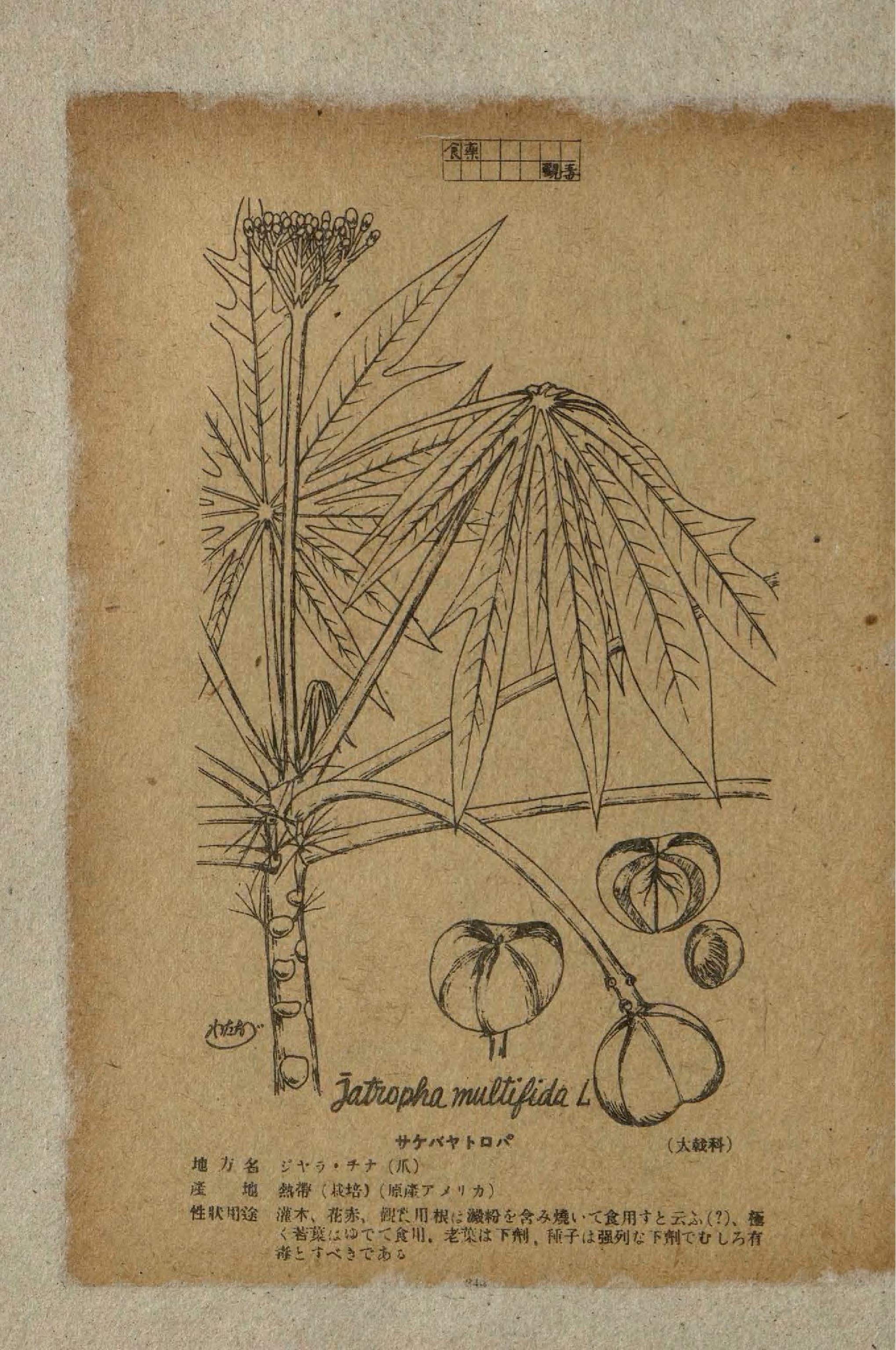 no full size  illustration available (3a)