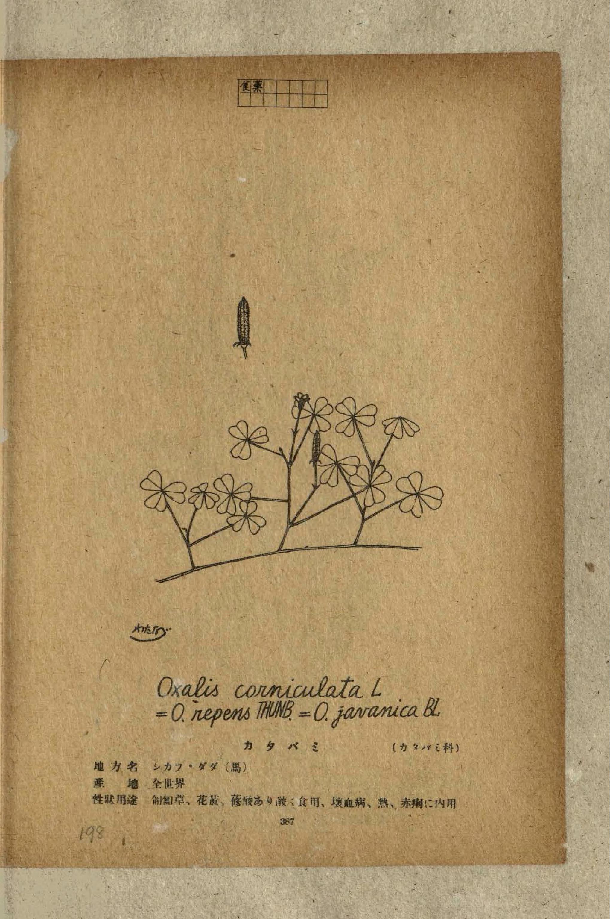 no full size  illustration available (3a)