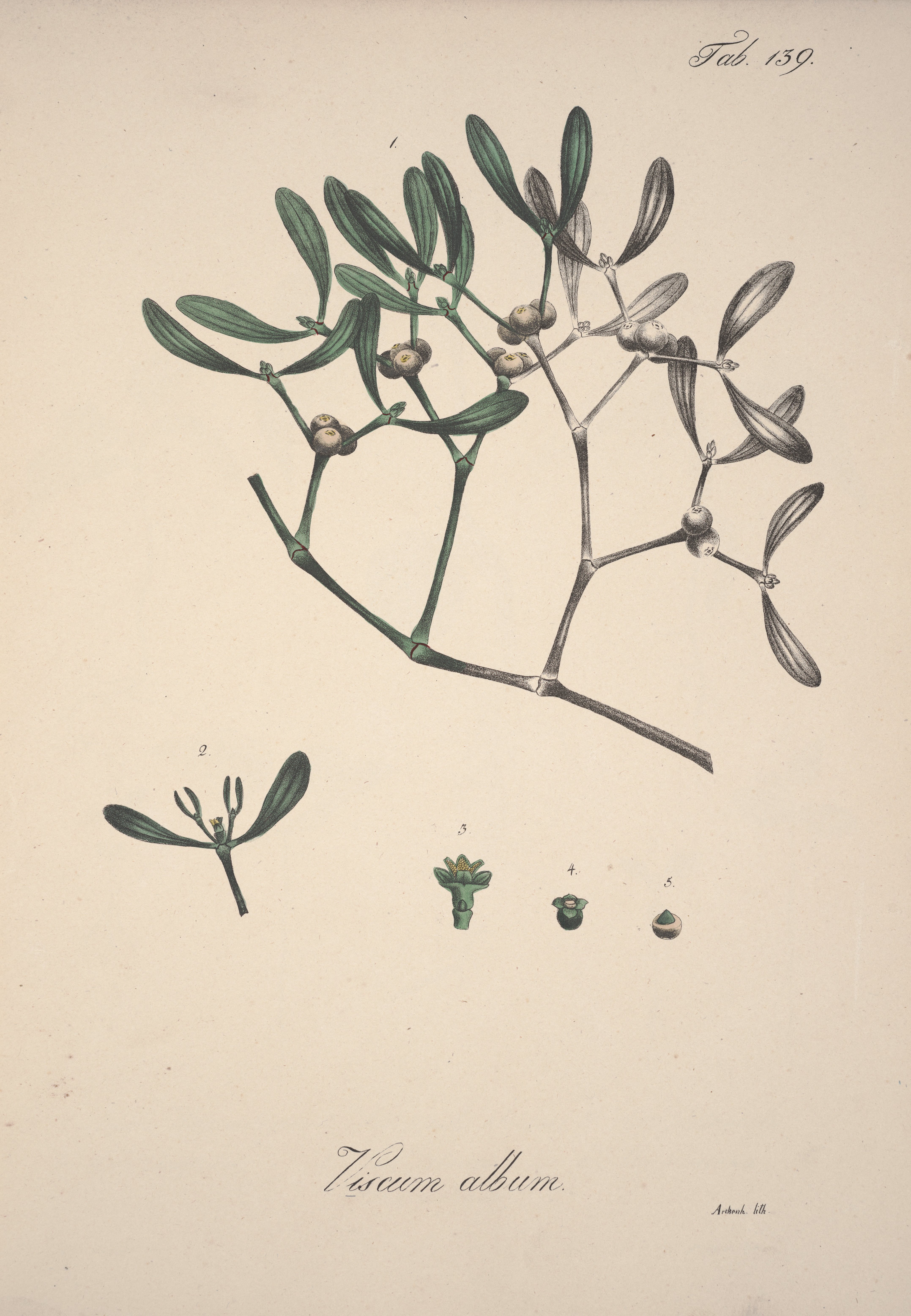 no full size  illustration available (3a)