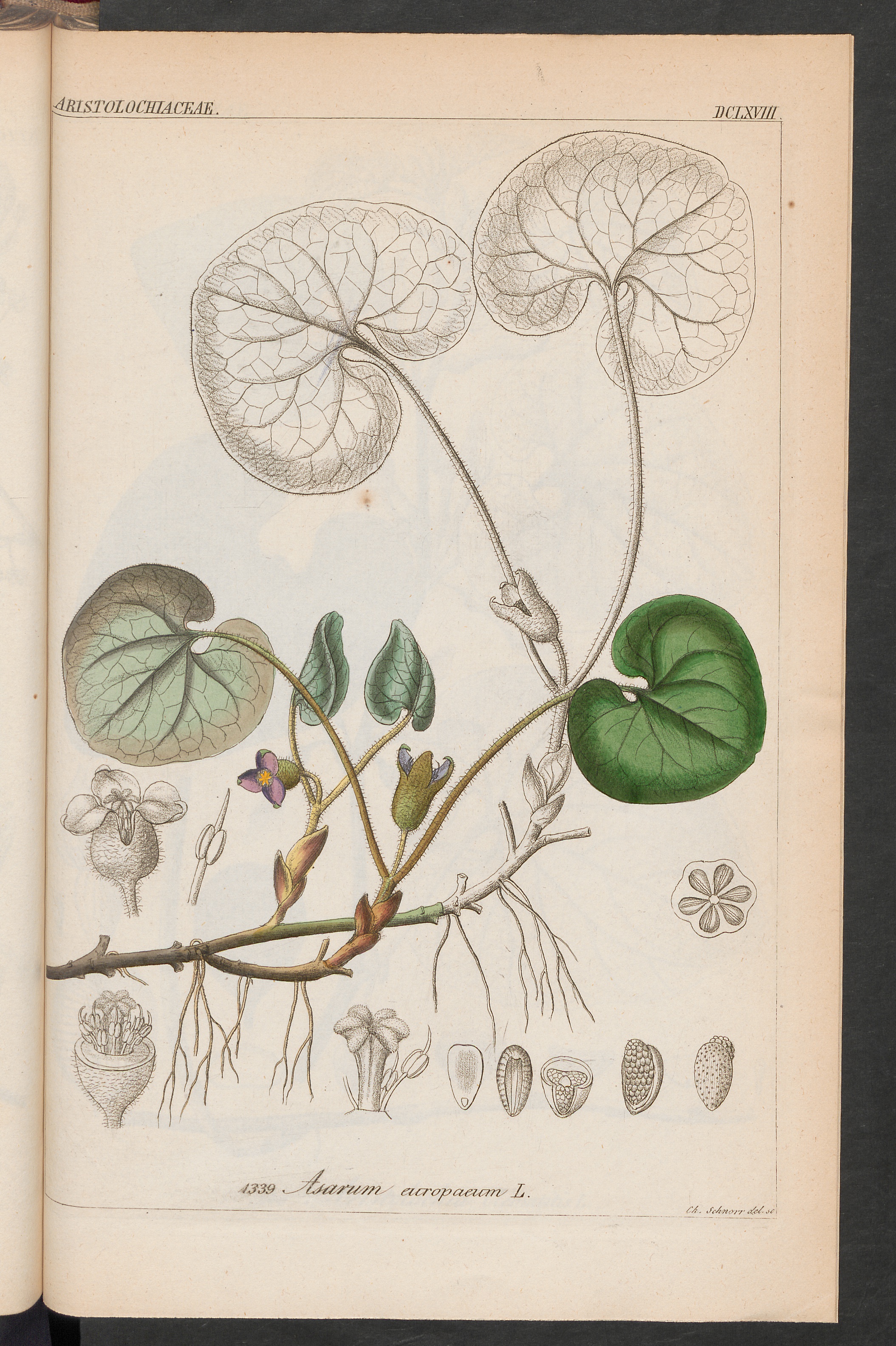 no full size  illustration available (3a)