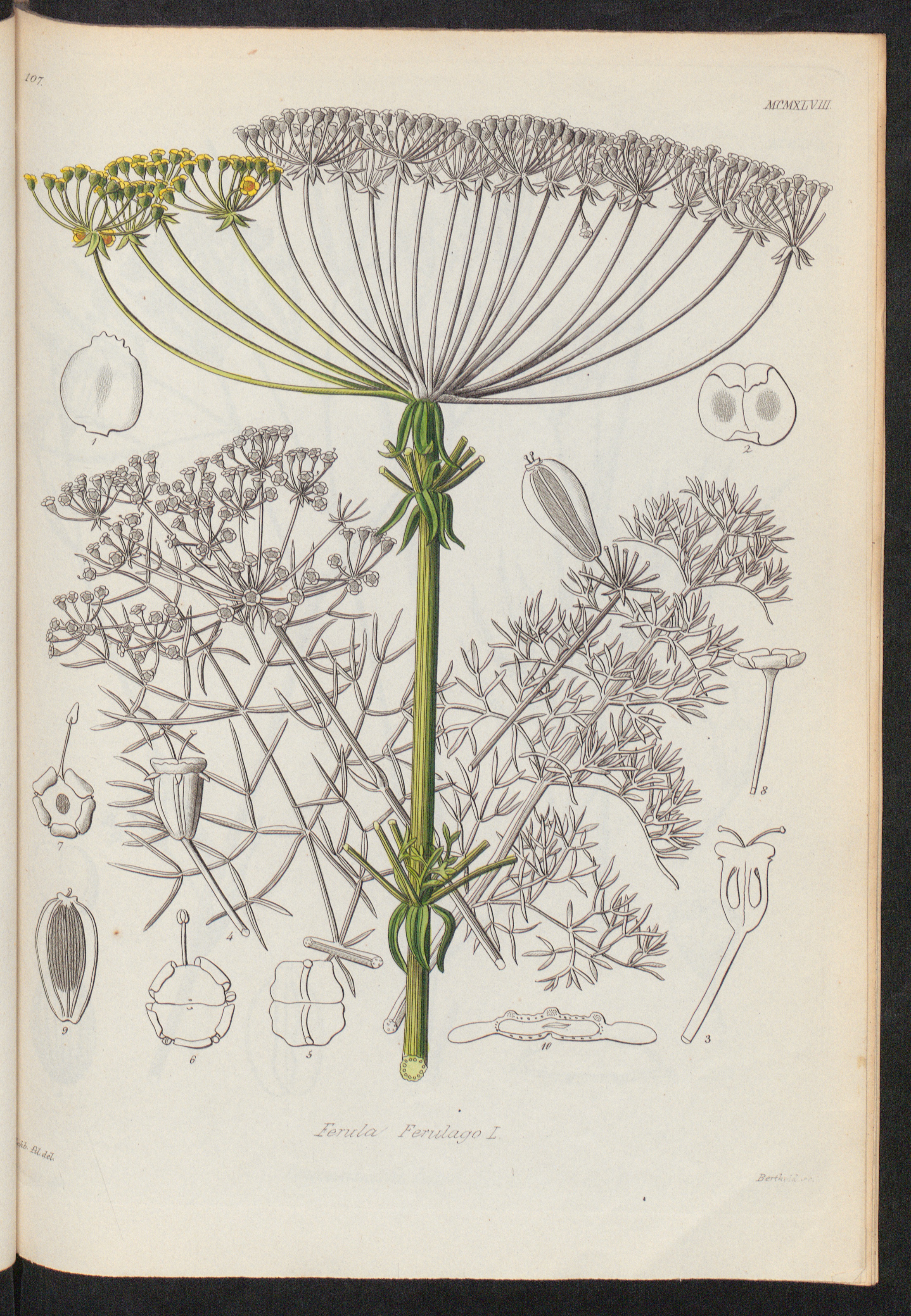 no full size  illustration available (3a)