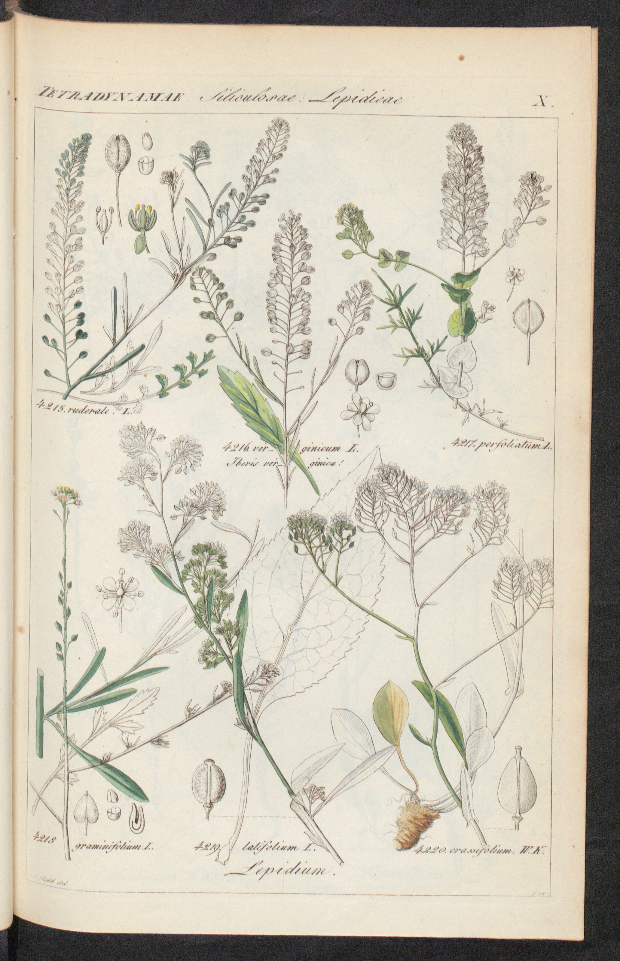 no full size  illustration available (3a)