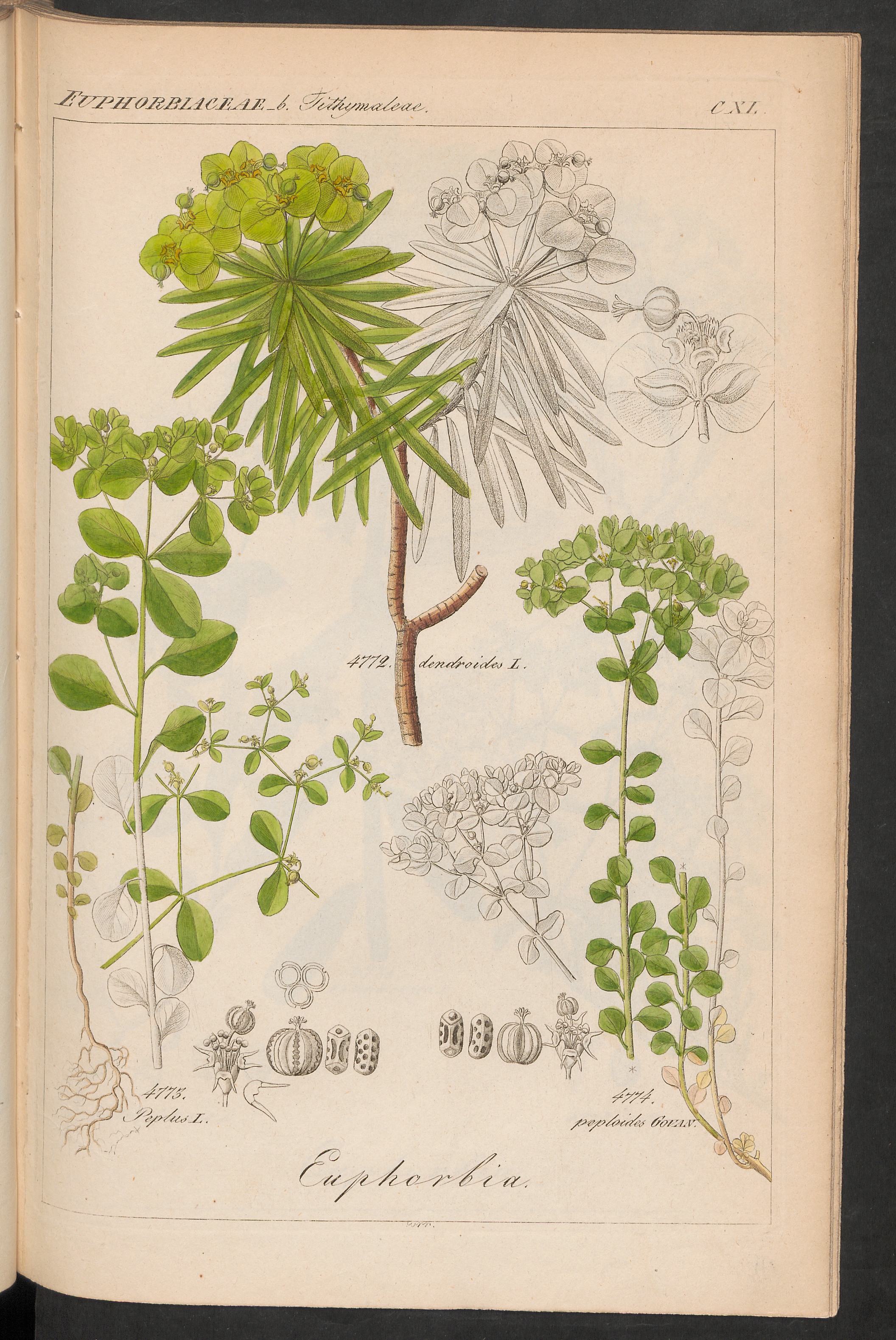 no full size  illustration available (3a)